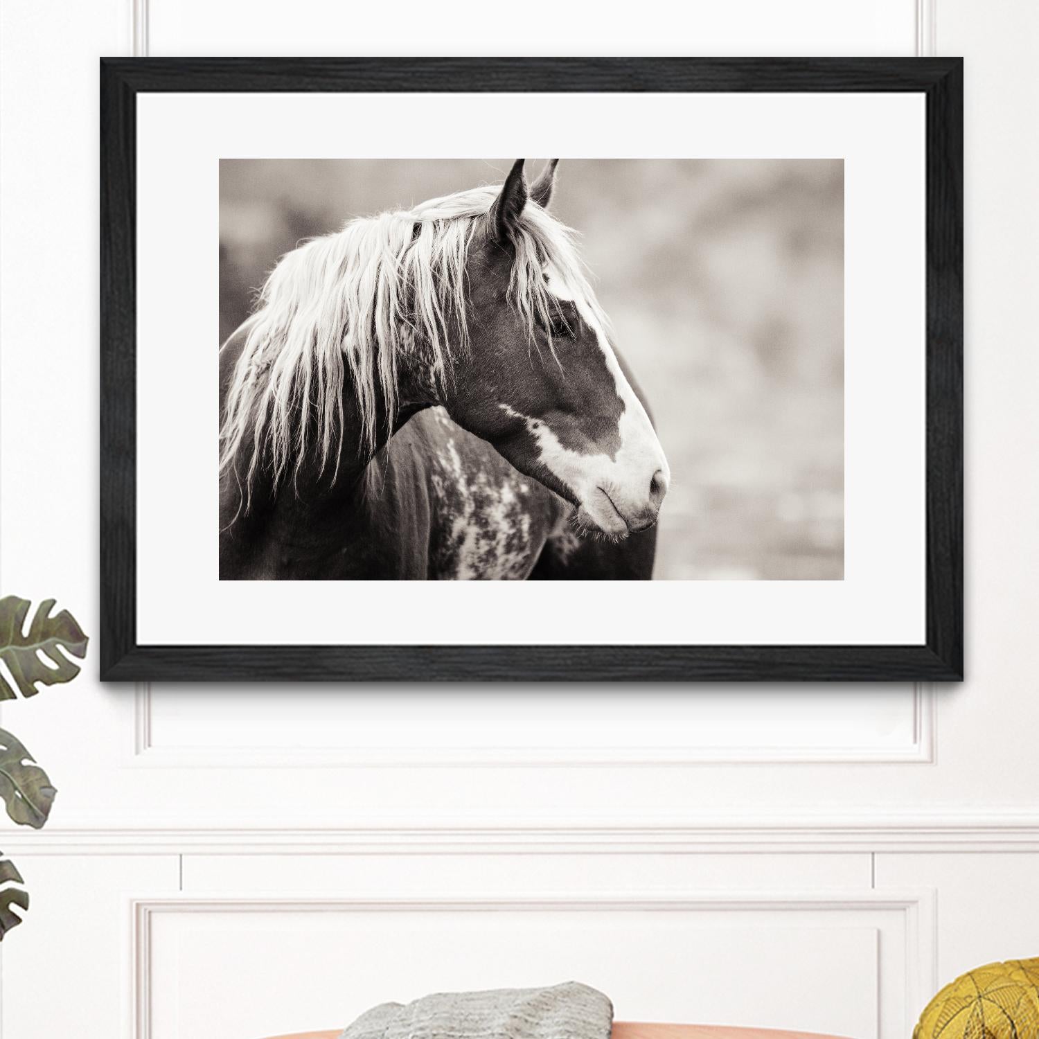 Wild Paint by Erle KaCee on GIANT ART - white animals