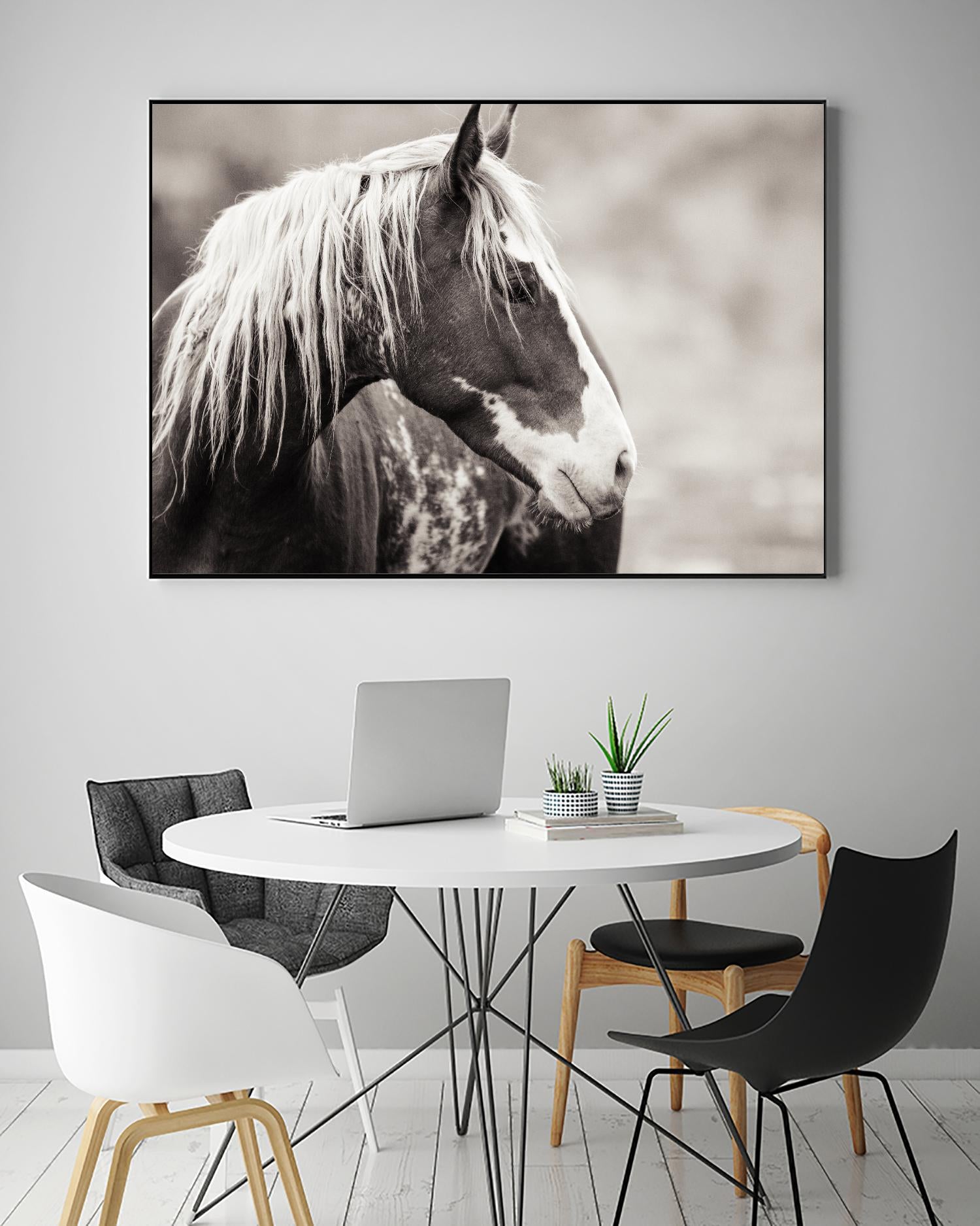 Wild Paint by Erle KaCee on GIANT ART - white animals