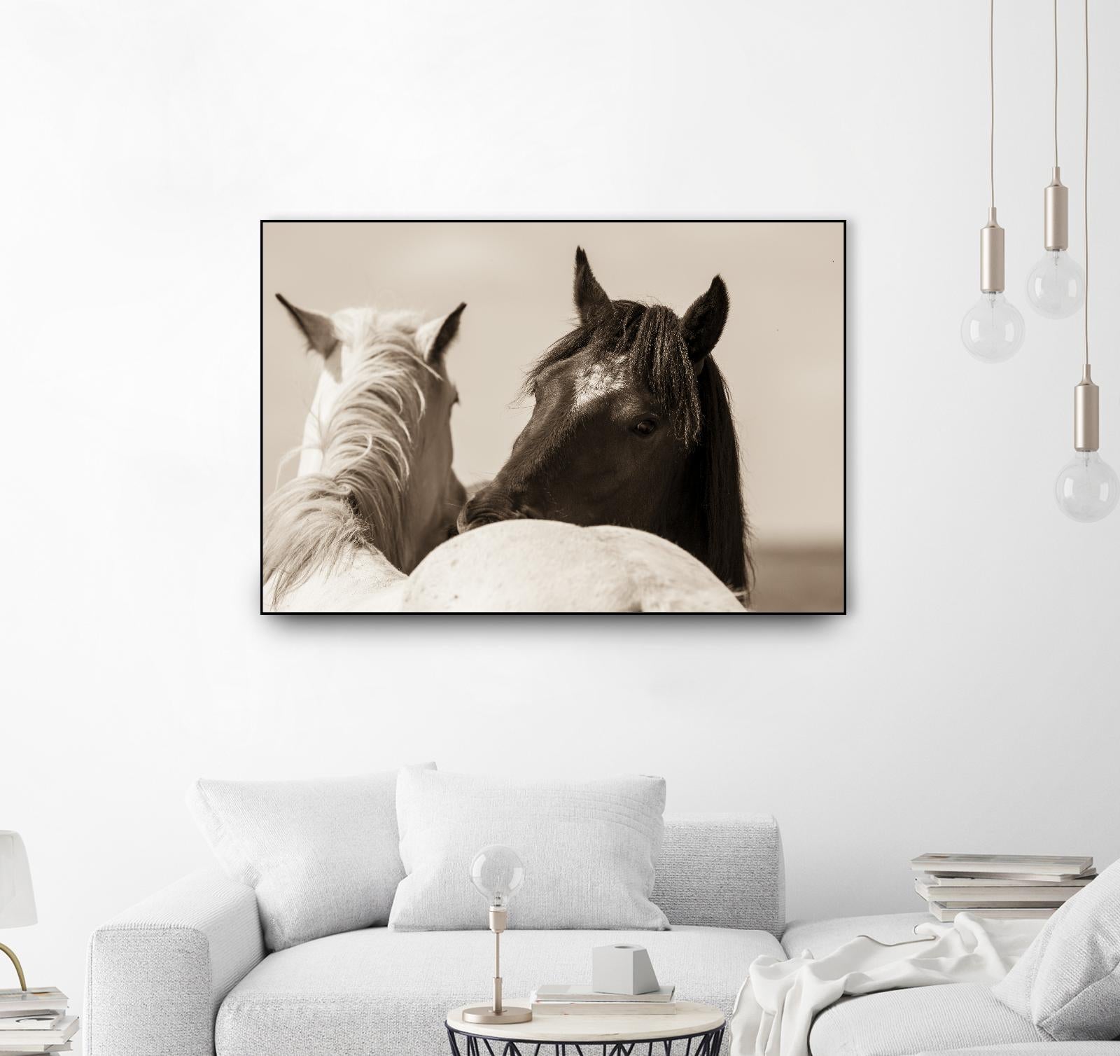 Nuzzles by Erle KaCee on GIANT ART - beige animals