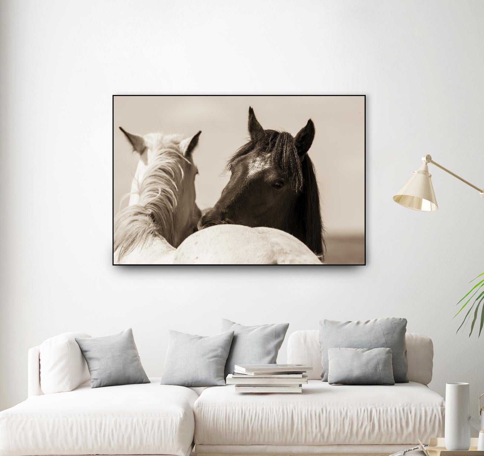 Nuzzles by Erle KaCee on GIANT ART - beige animals