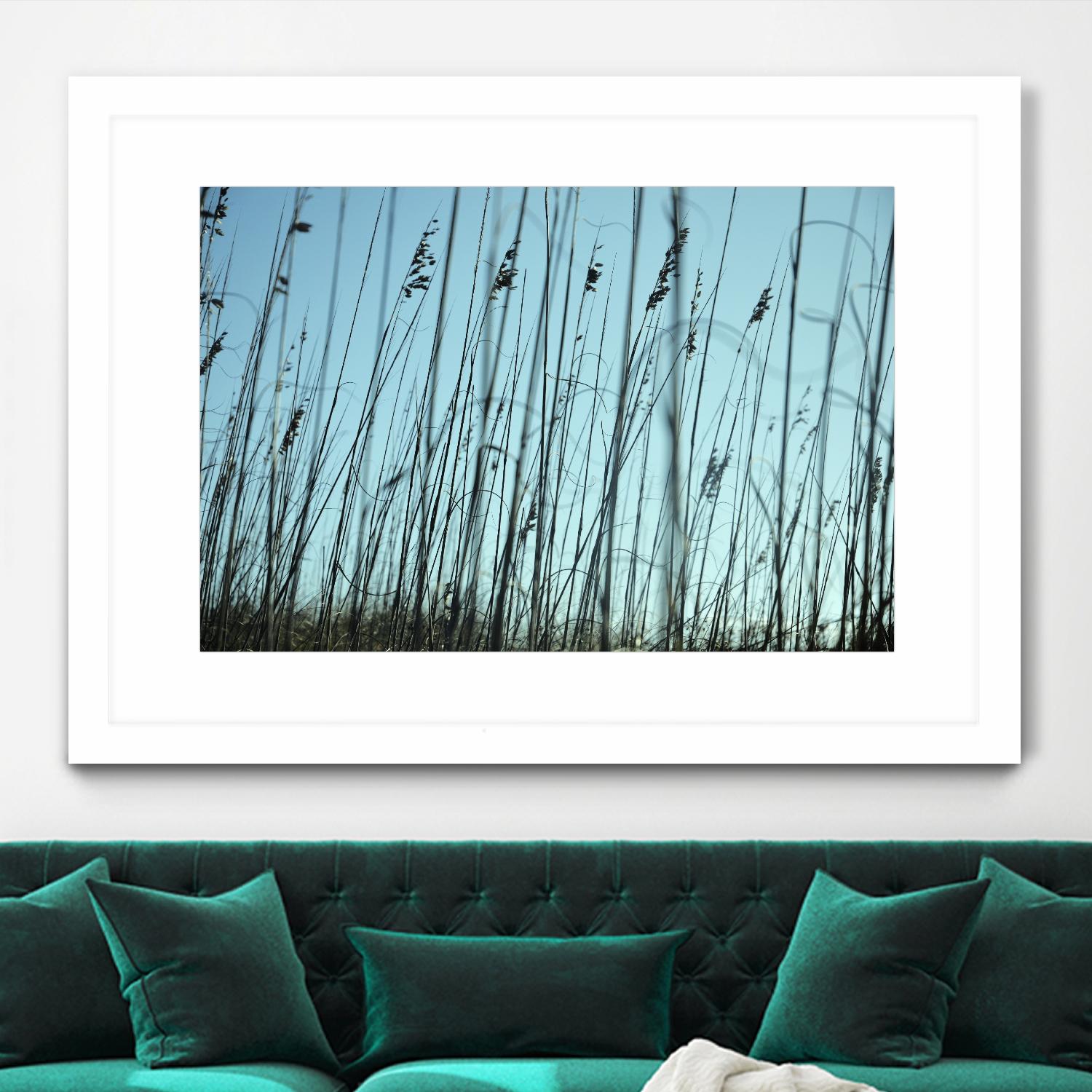 Whispers by Lori Prenner on GIANT ART - beige photo art