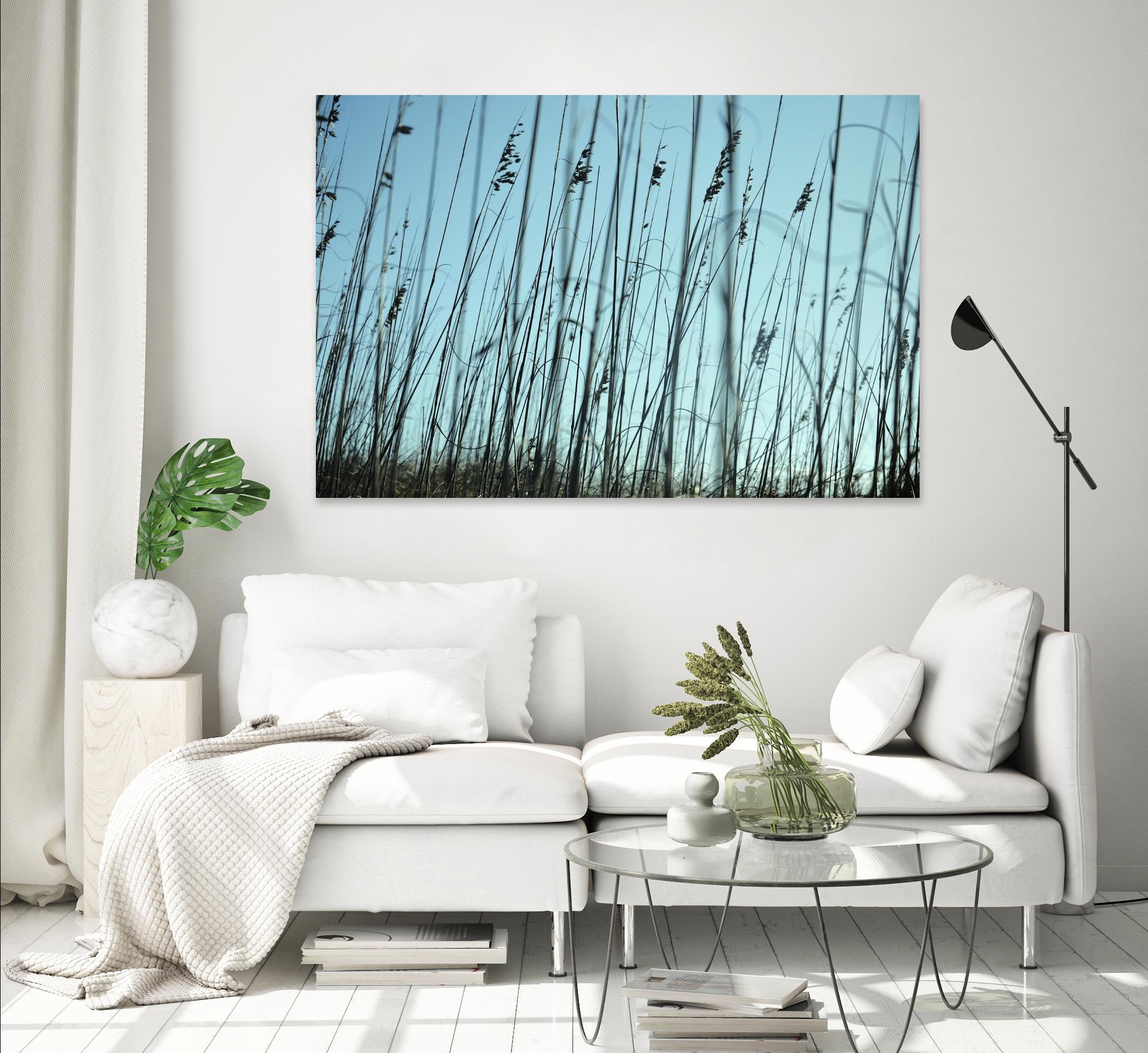 Whispers by Lori Prenner on GIANT ART - beige photo art