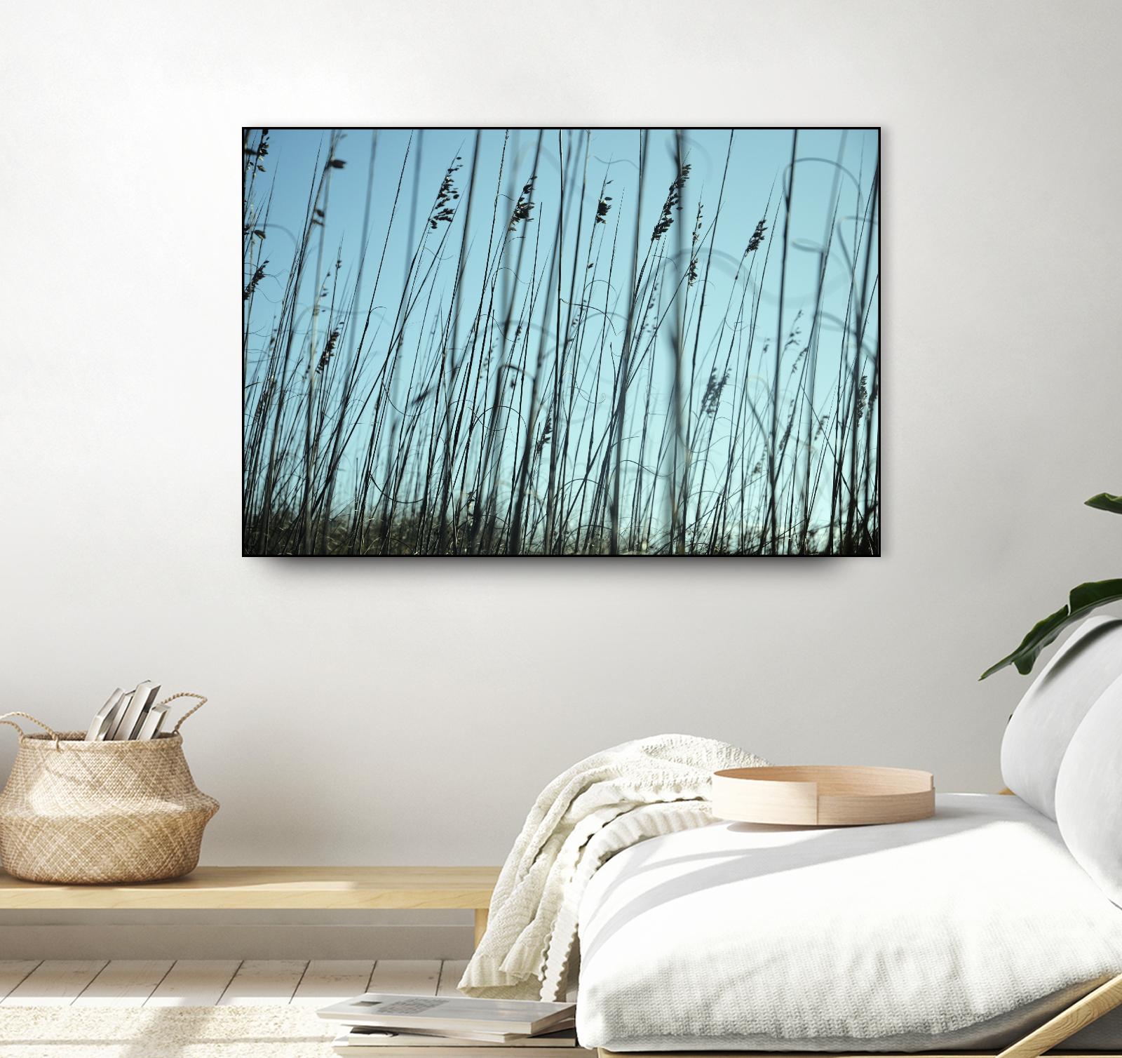 Whispers by Lori Prenner on GIANT ART - beige photo art