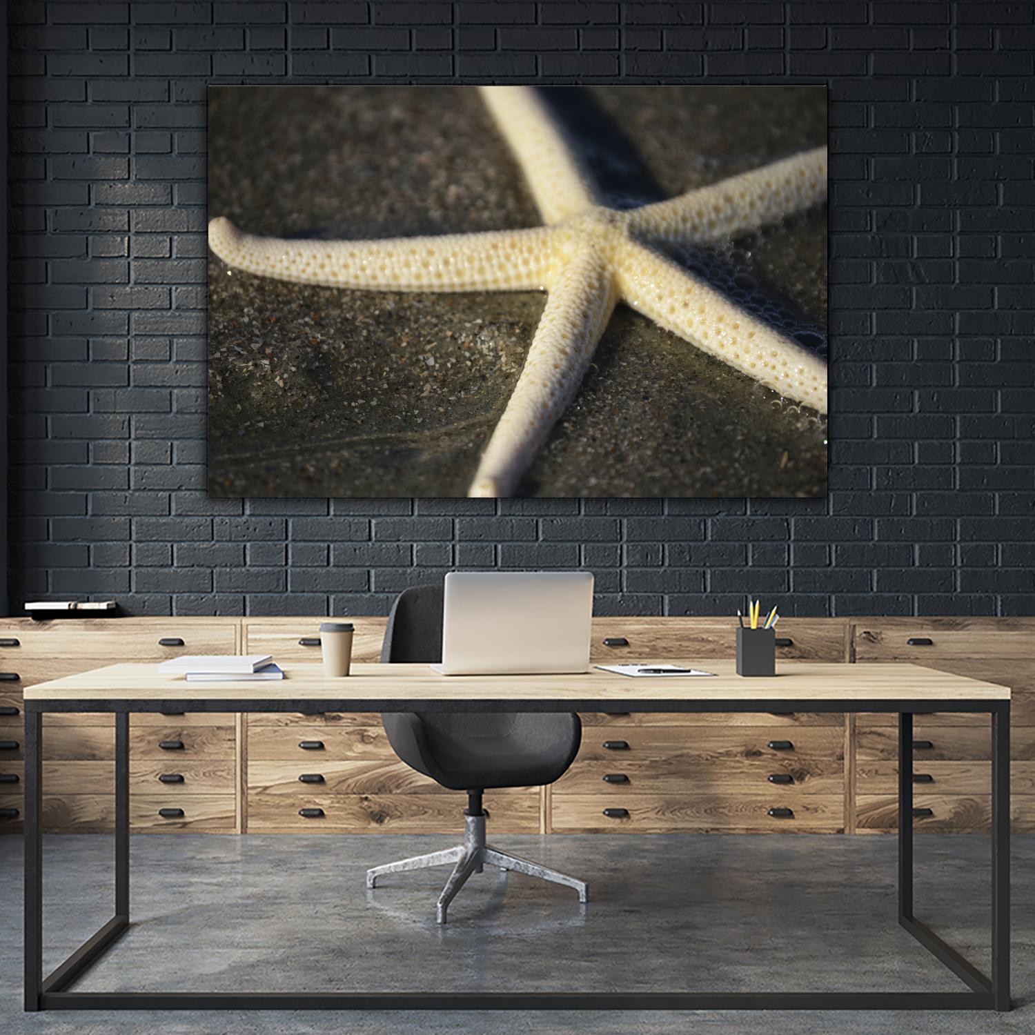Starfish by Lori Prenner on GIANT ART - brown nautical