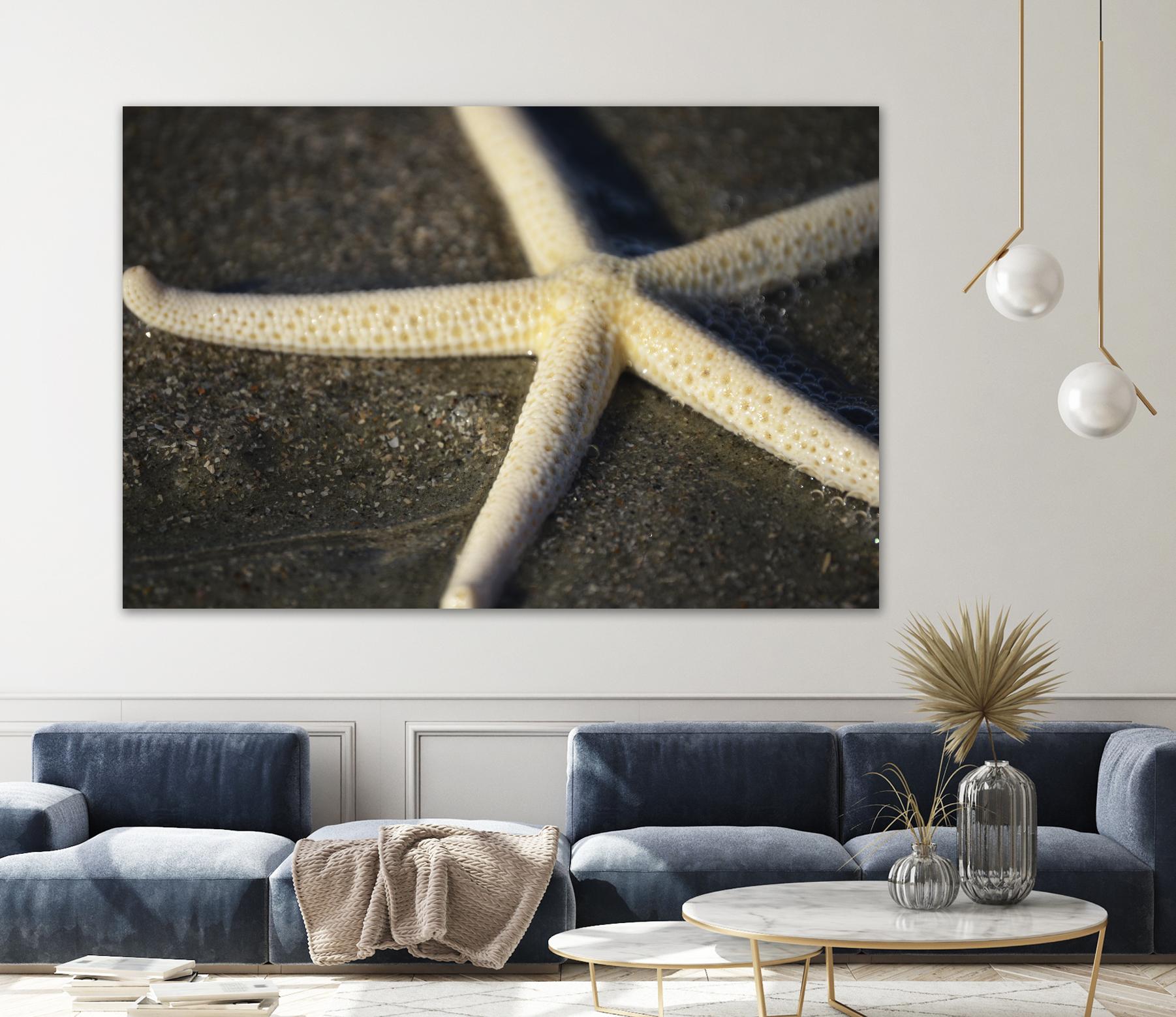 Starfish by Lori Prenner on GIANT ART - brown nautical