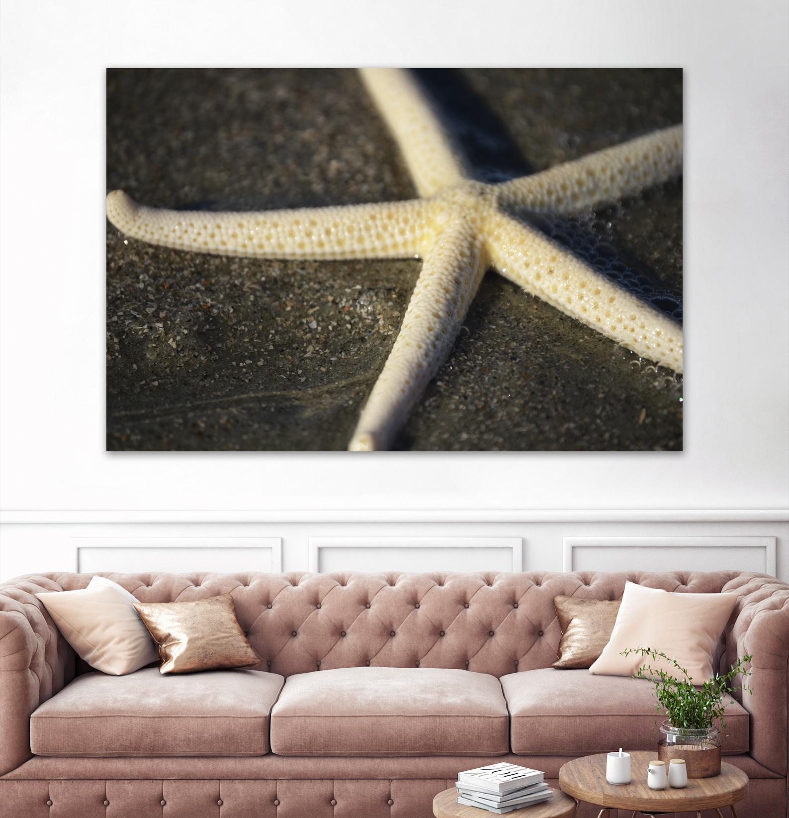 Starfish by Lori Prenner on GIANT ART - brown nautical