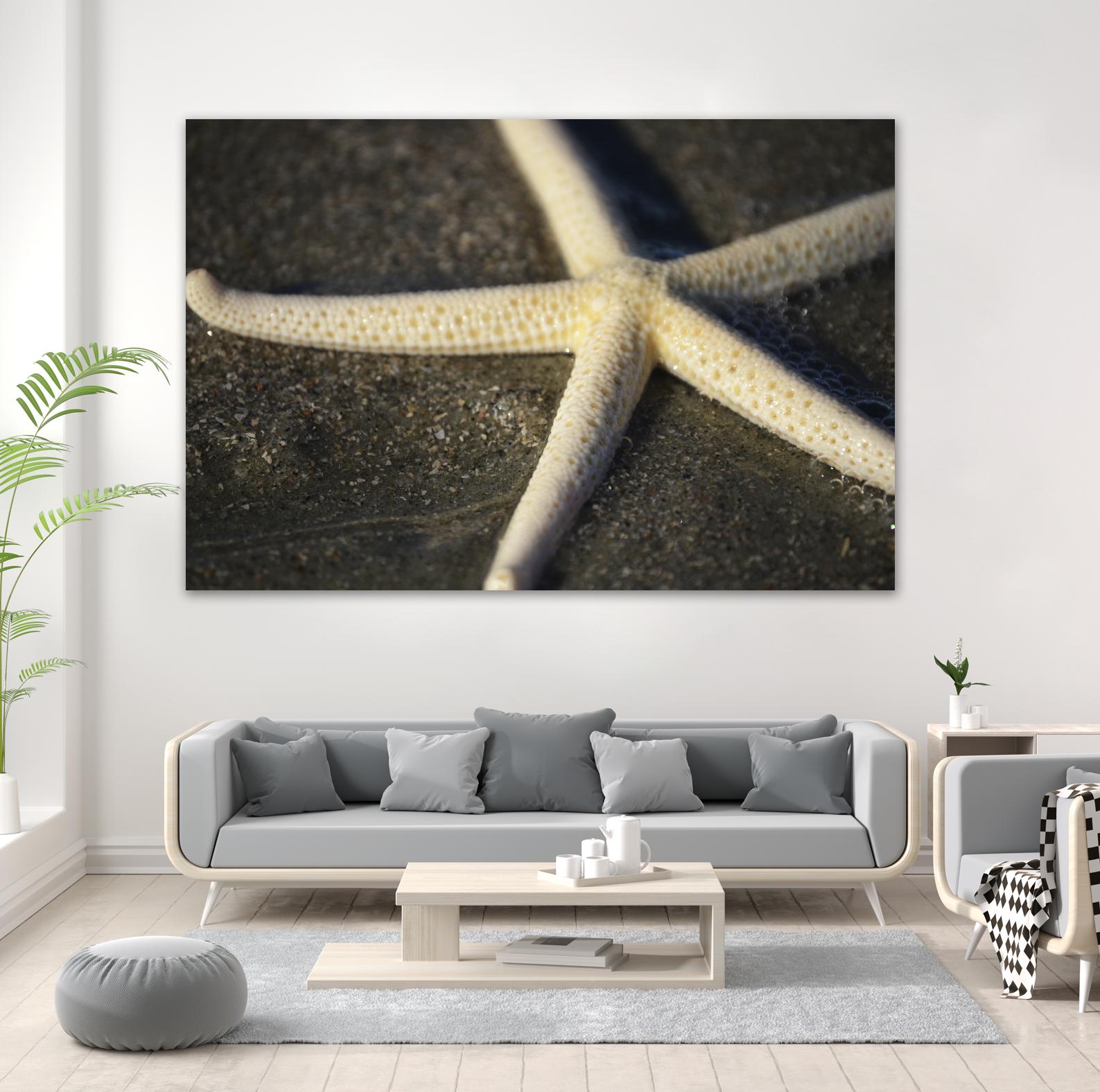 Starfish by Lori Prenner on GIANT ART - brown nautical