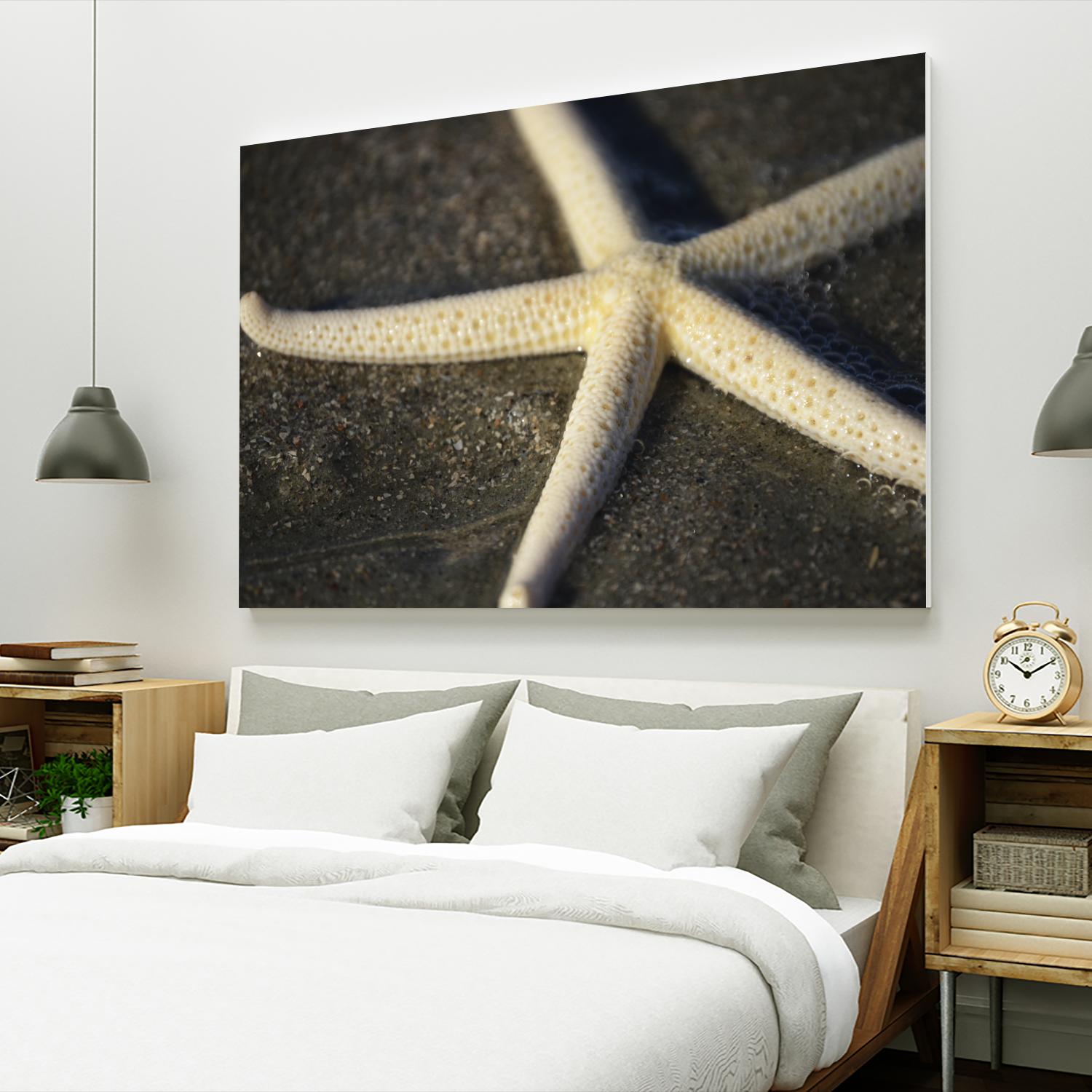 Starfish by Lori Prenner on GIANT ART - brown nautical