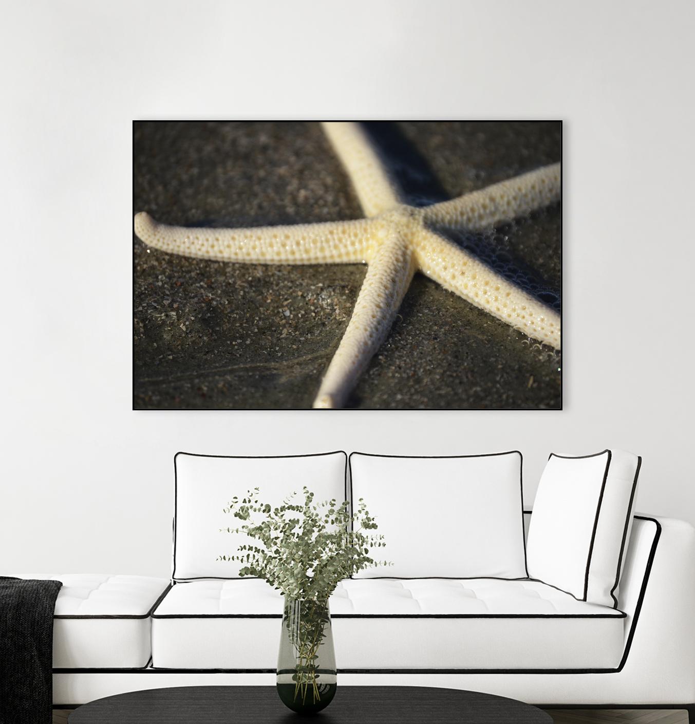 Starfish by Lori Prenner on GIANT ART - brown nautical