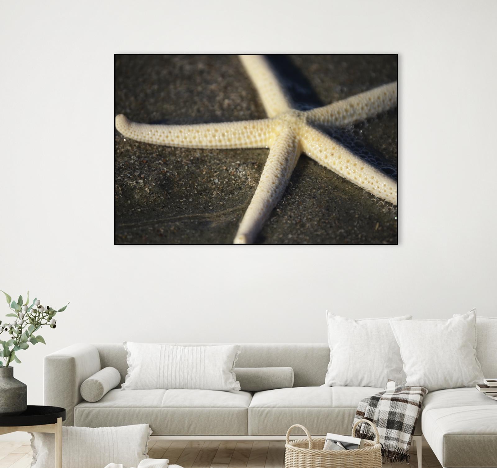 Starfish by Lori Prenner on GIANT ART - brown nautical
