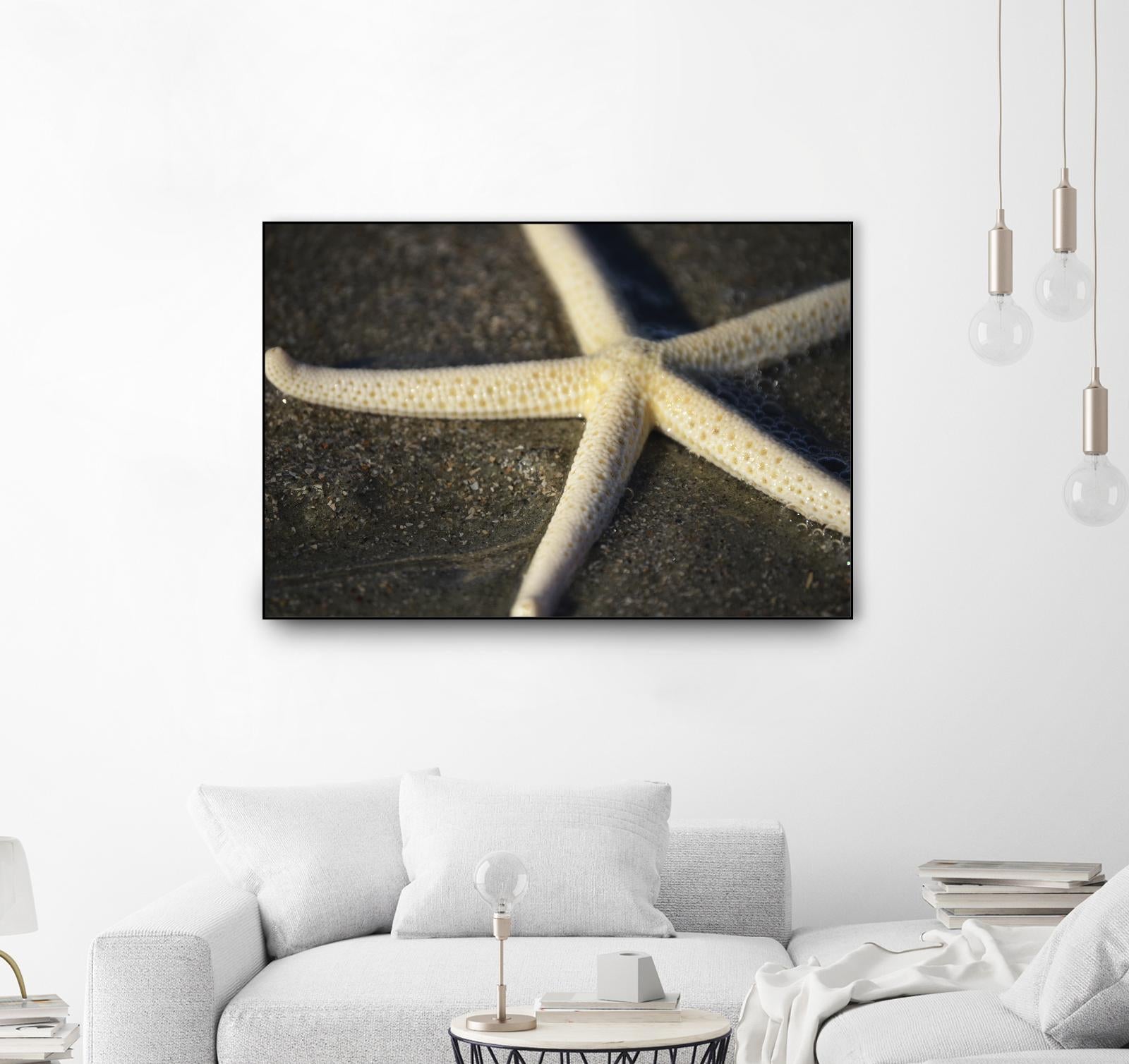 Starfish by Lori Prenner on GIANT ART - brown nautical