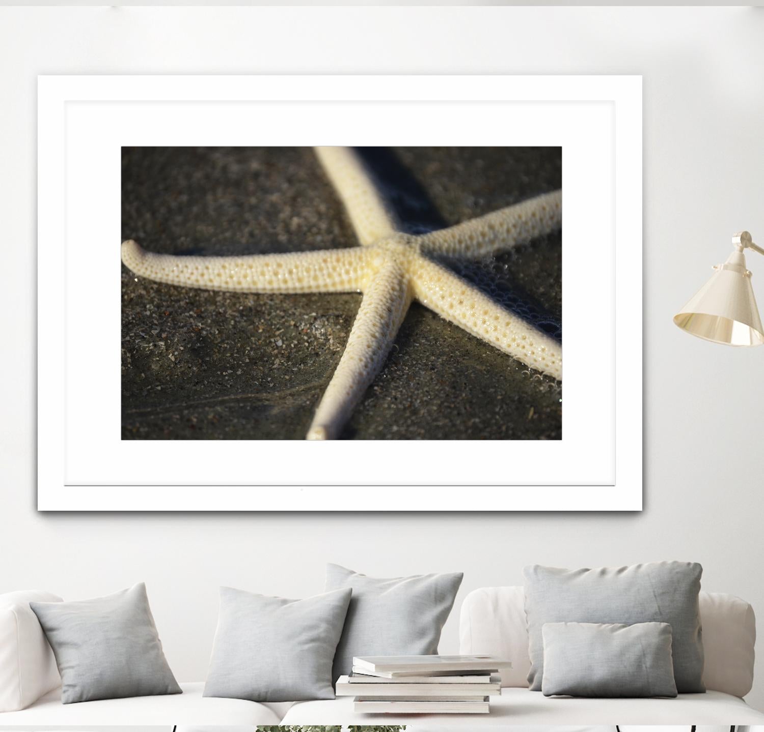 Starfish by Lori Prenner on GIANT ART - beige costal étoile de mer