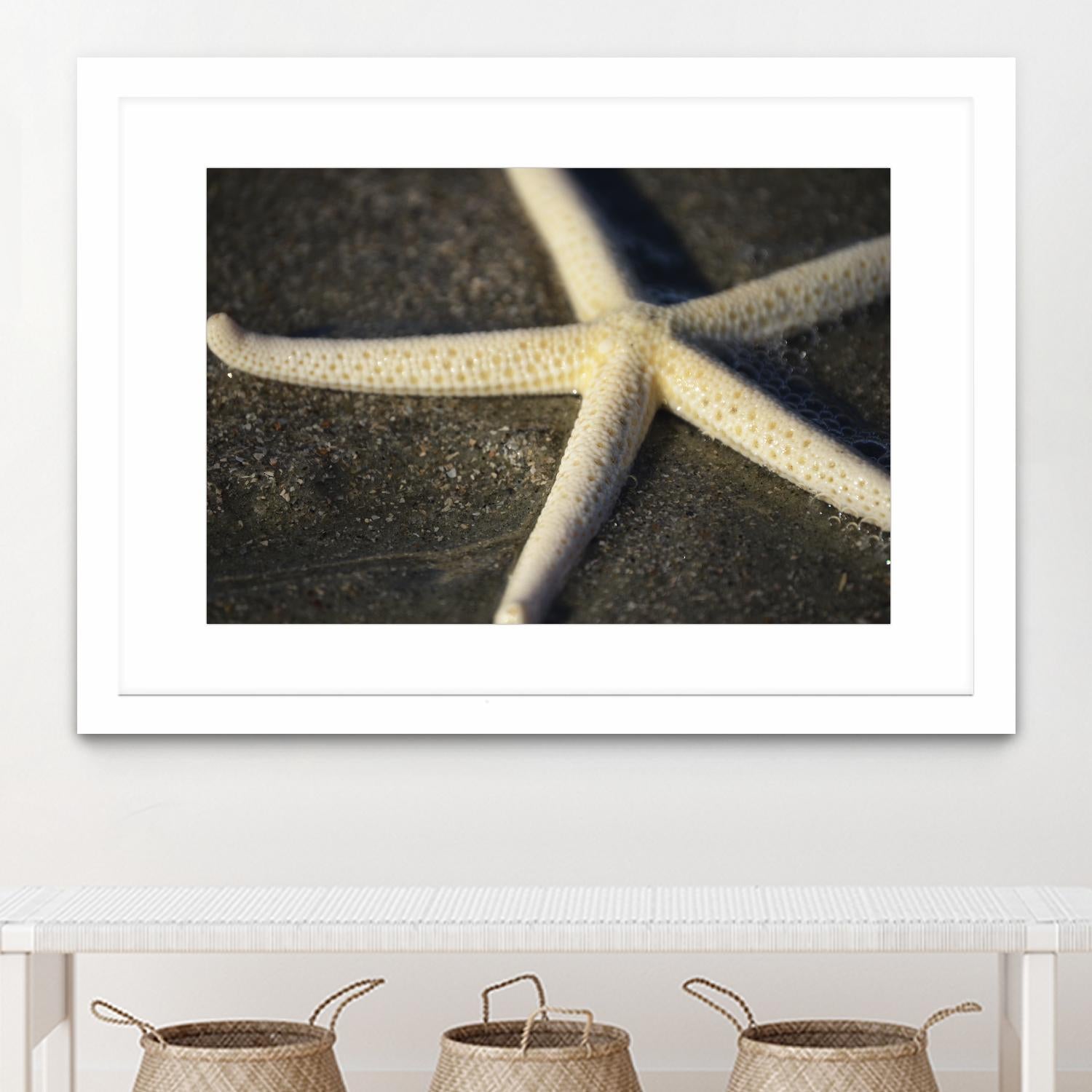 Starfish by Lori Prenner on GIANT ART - beige costal étoile de mer
