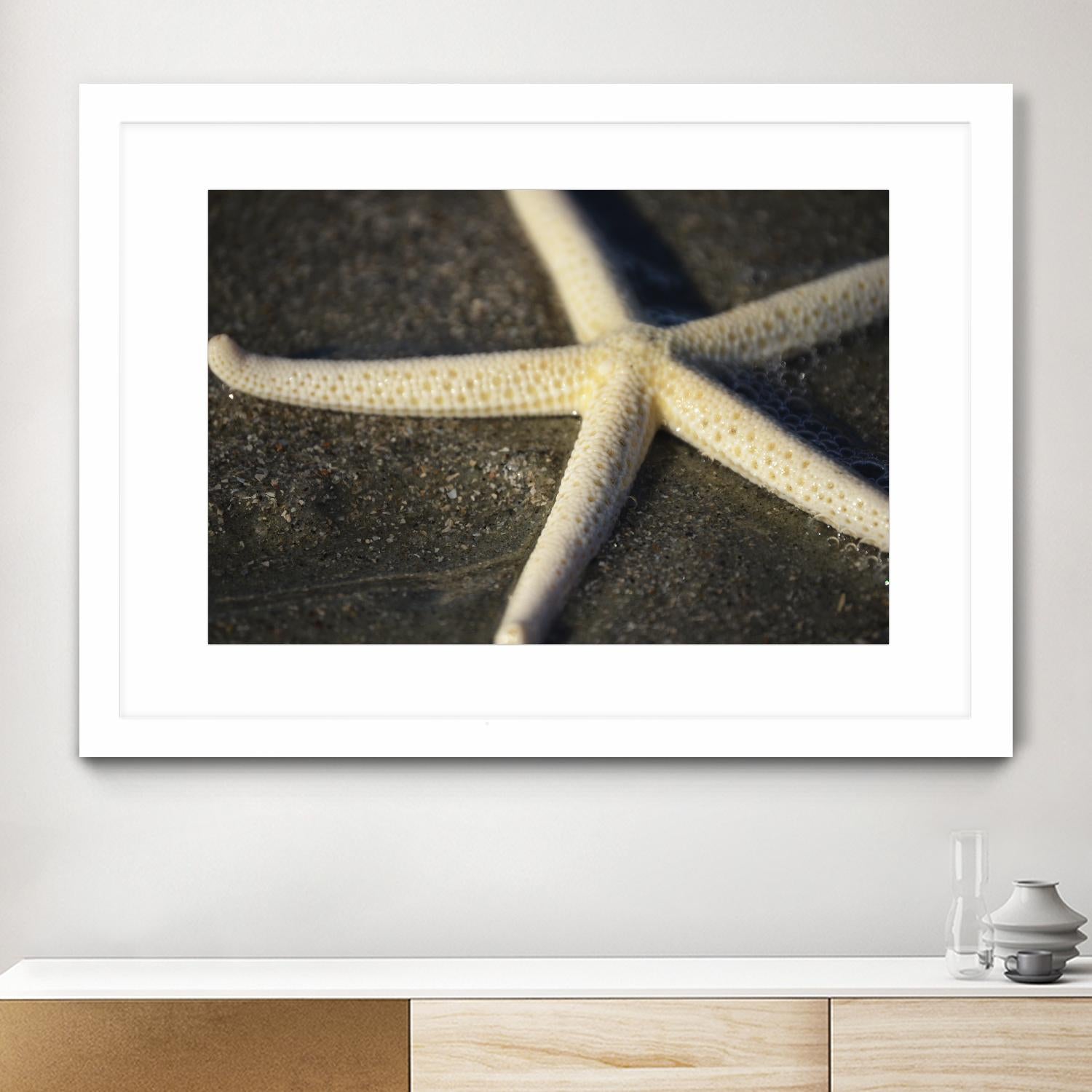 Starfish by Lori Prenner on GIANT ART - beige costal étoile de mer