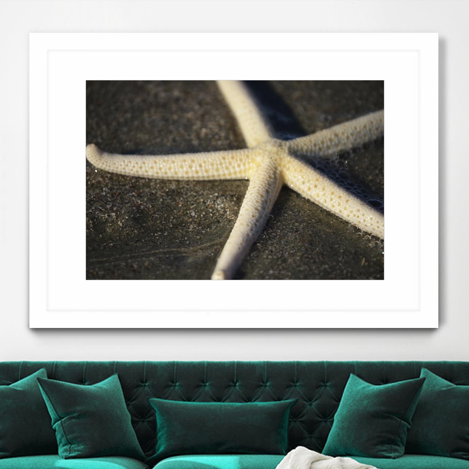 Starfish by Lori Prenner on GIANT ART - beige costal étoile de mer