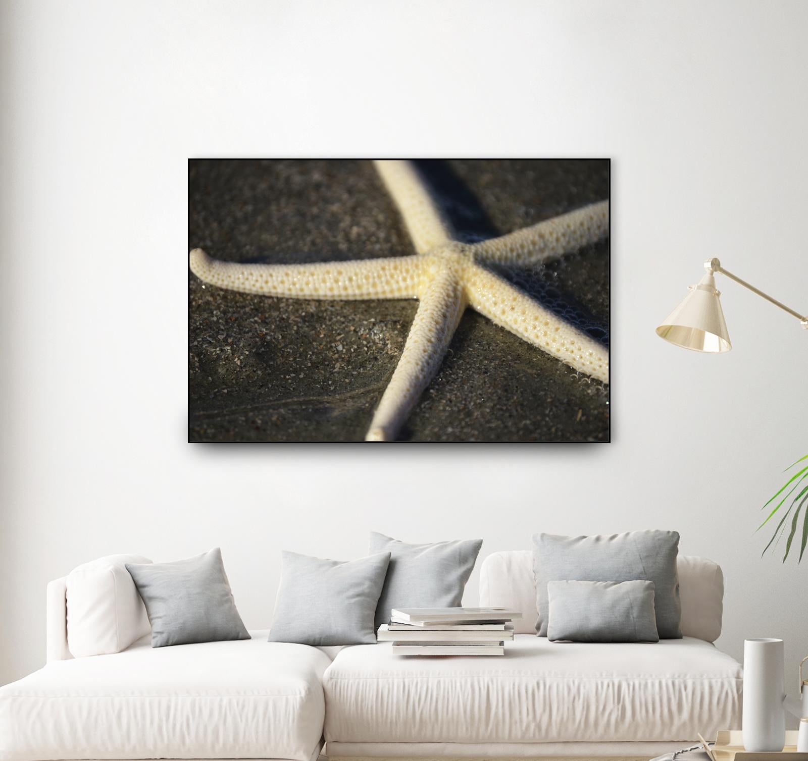 Starfish by Lori Prenner on GIANT ART - brown nautical
