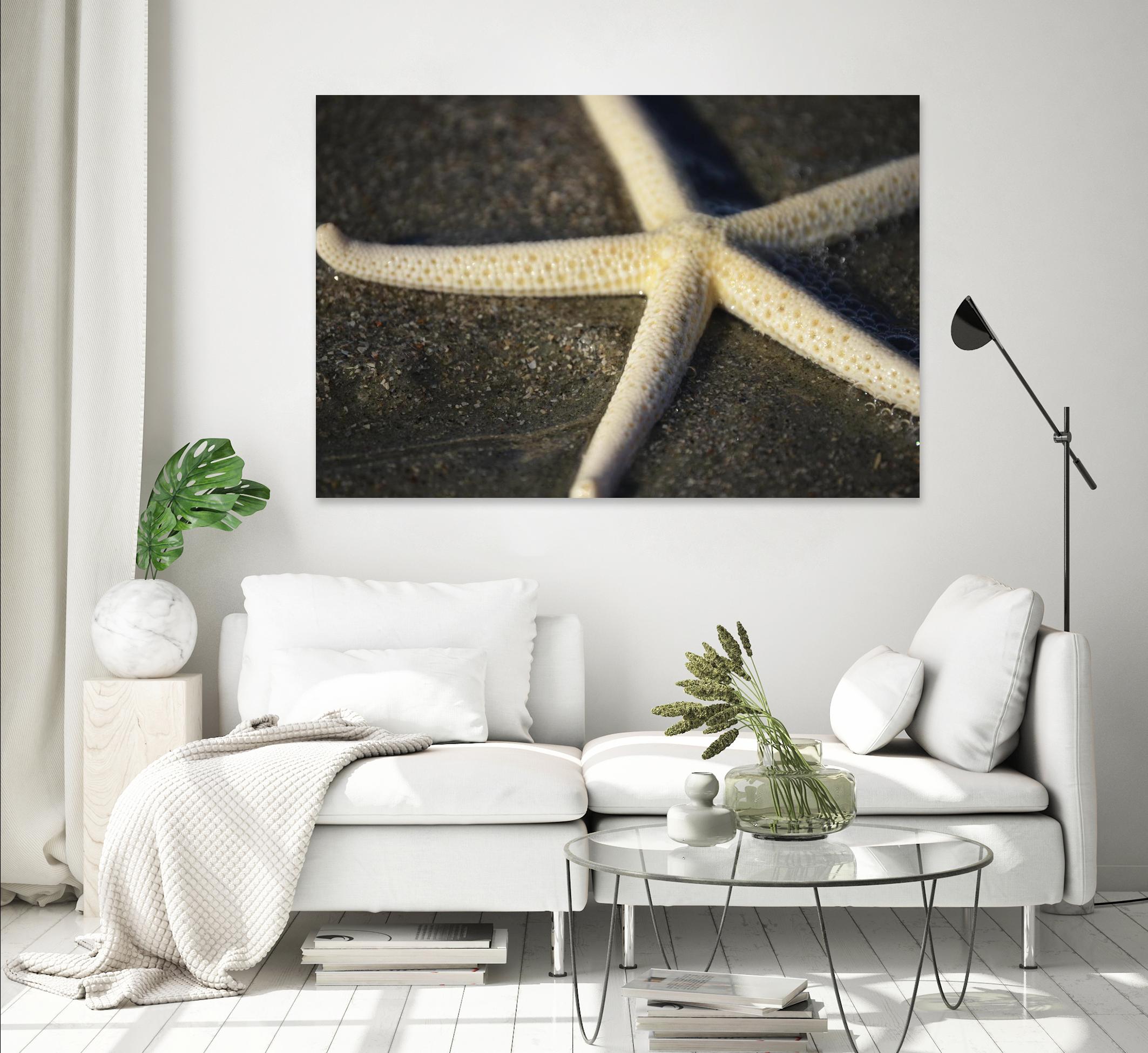 Starfish by Lori Prenner on GIANT ART - beige costal étoile de mer