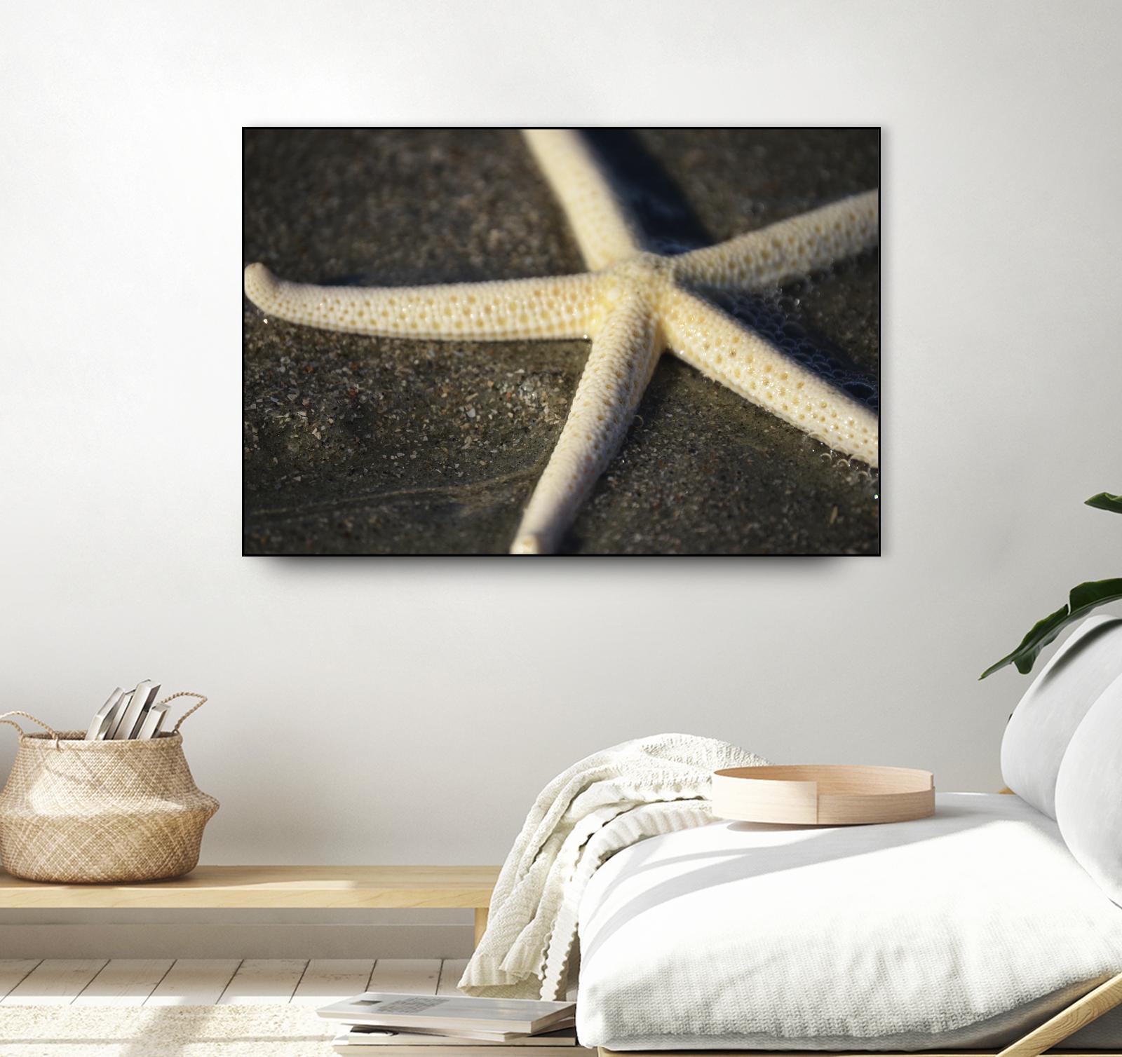 Starfish by Lori Prenner on GIANT ART - brown nautical