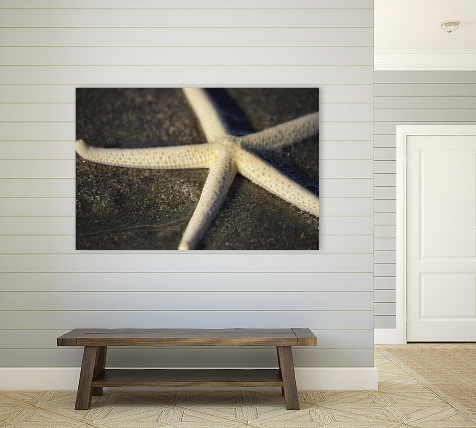 Starfish by Lori Prenner on GIANT ART - beige costal étoile de mer