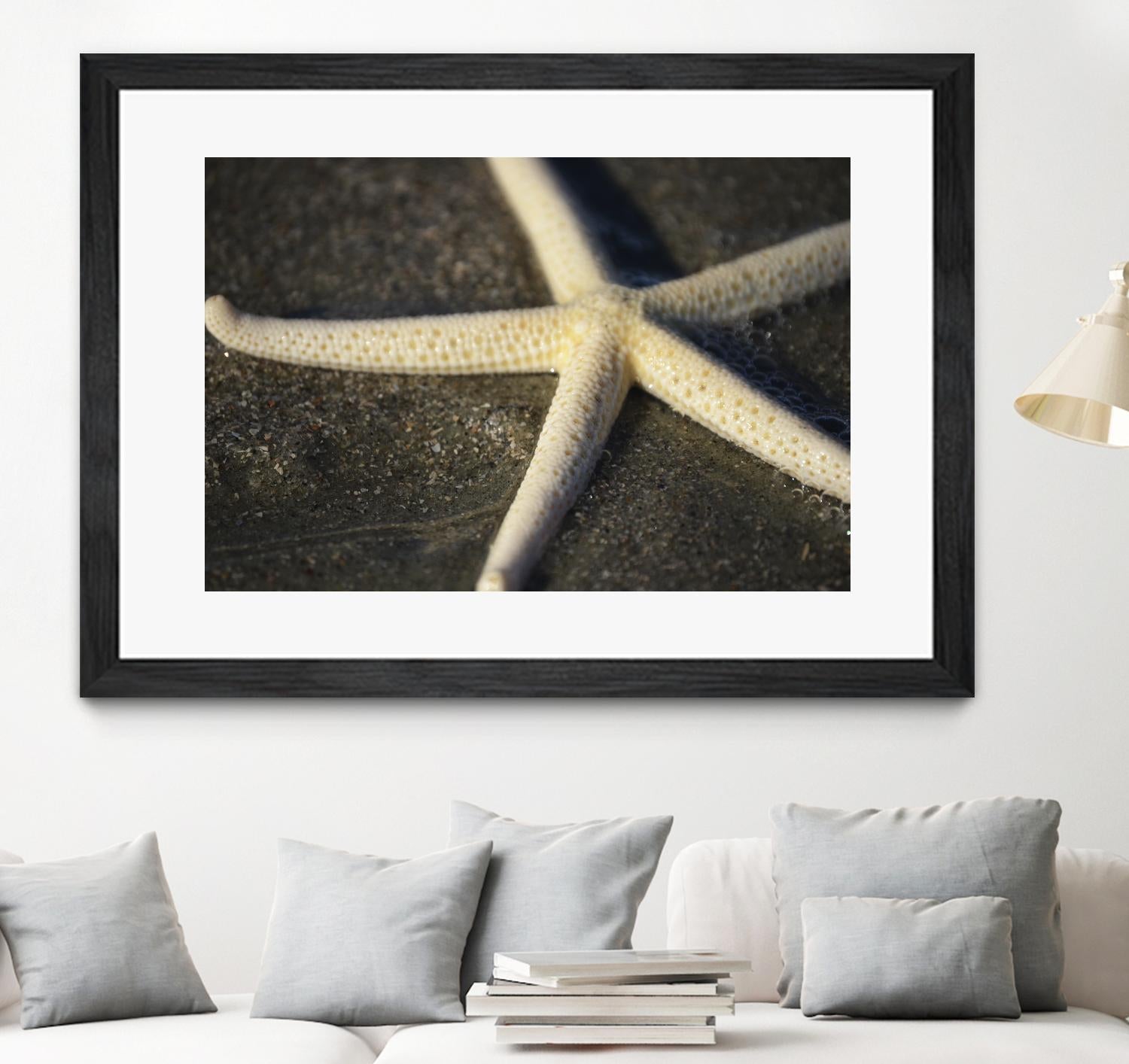 Starfish by Lori Prenner on GIANT ART - beige costal étoile de mer
