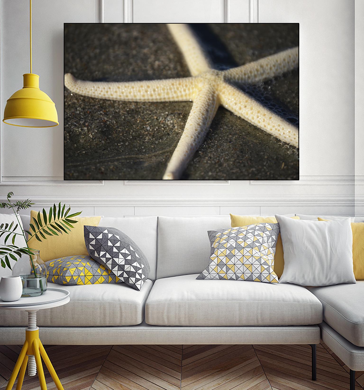 Starfish by Lori Prenner on GIANT ART - brown nautical