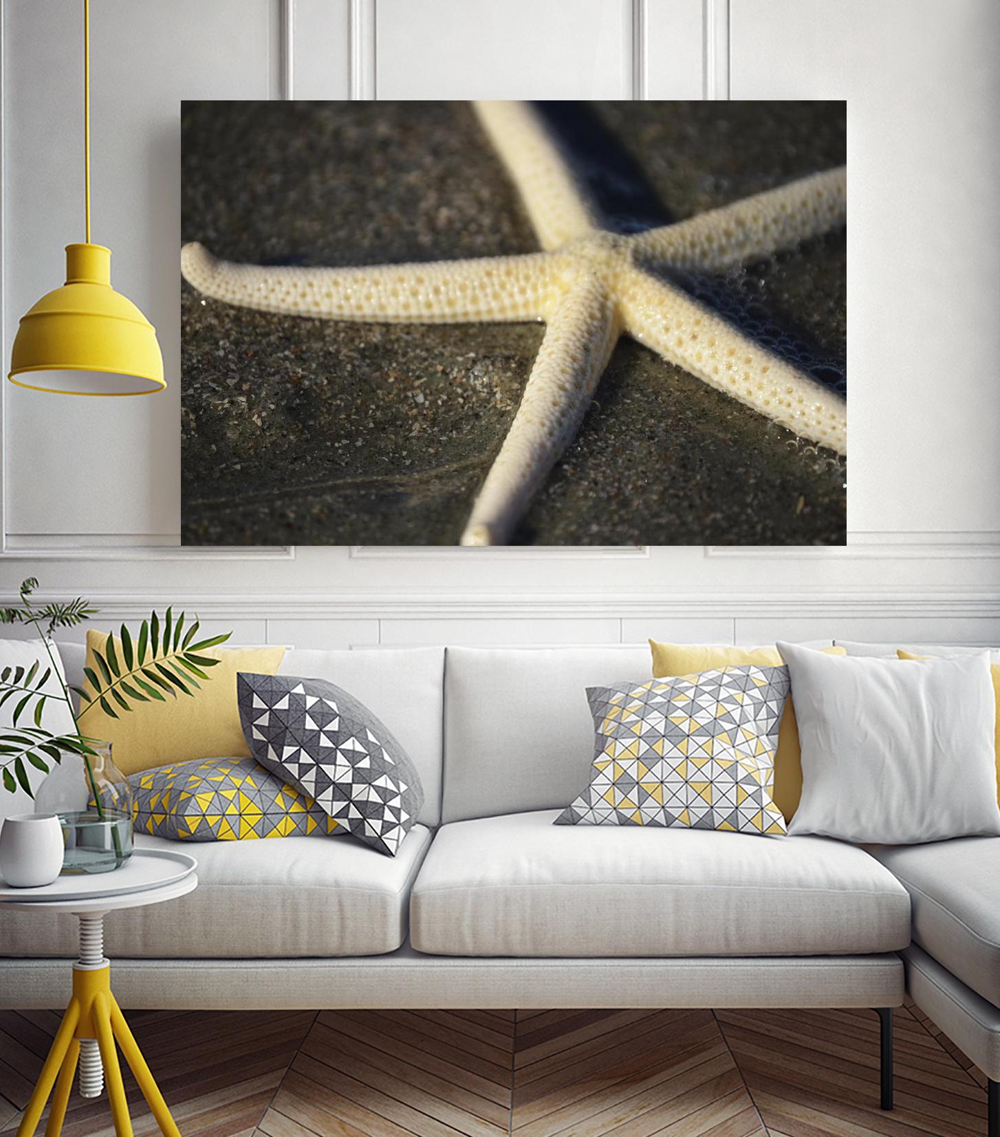 Starfish by Lori Prenner on GIANT ART - beige costal étoile de mer