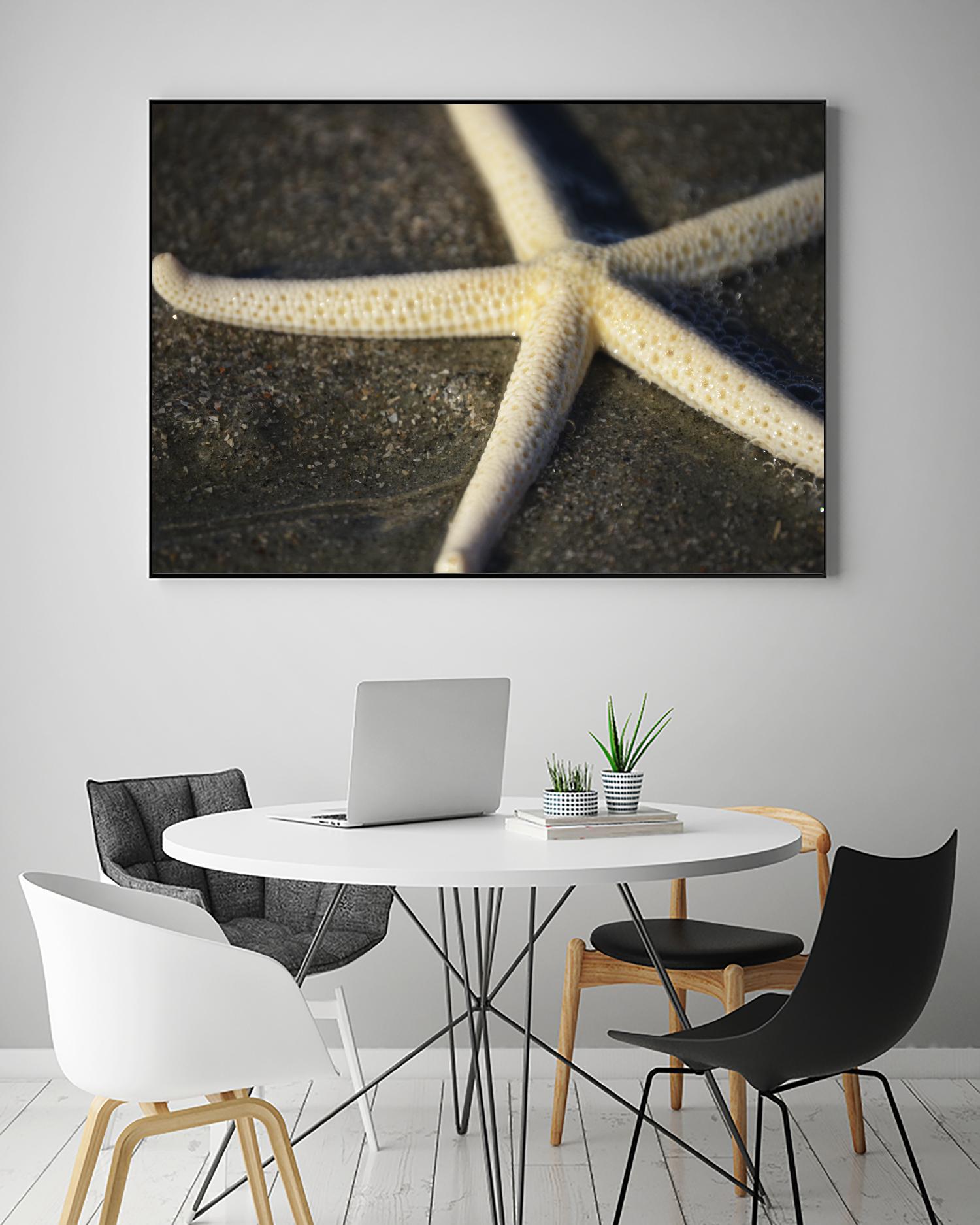 Starfish by Lori Prenner on GIANT ART - brown nautical