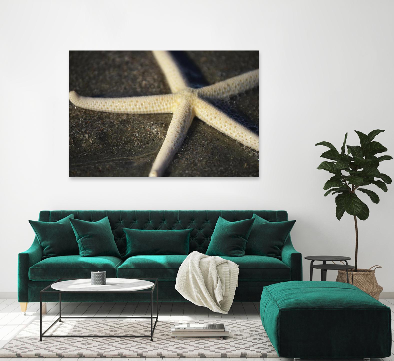 Starfish by Lori Prenner on GIANT ART - beige costal étoile de mer