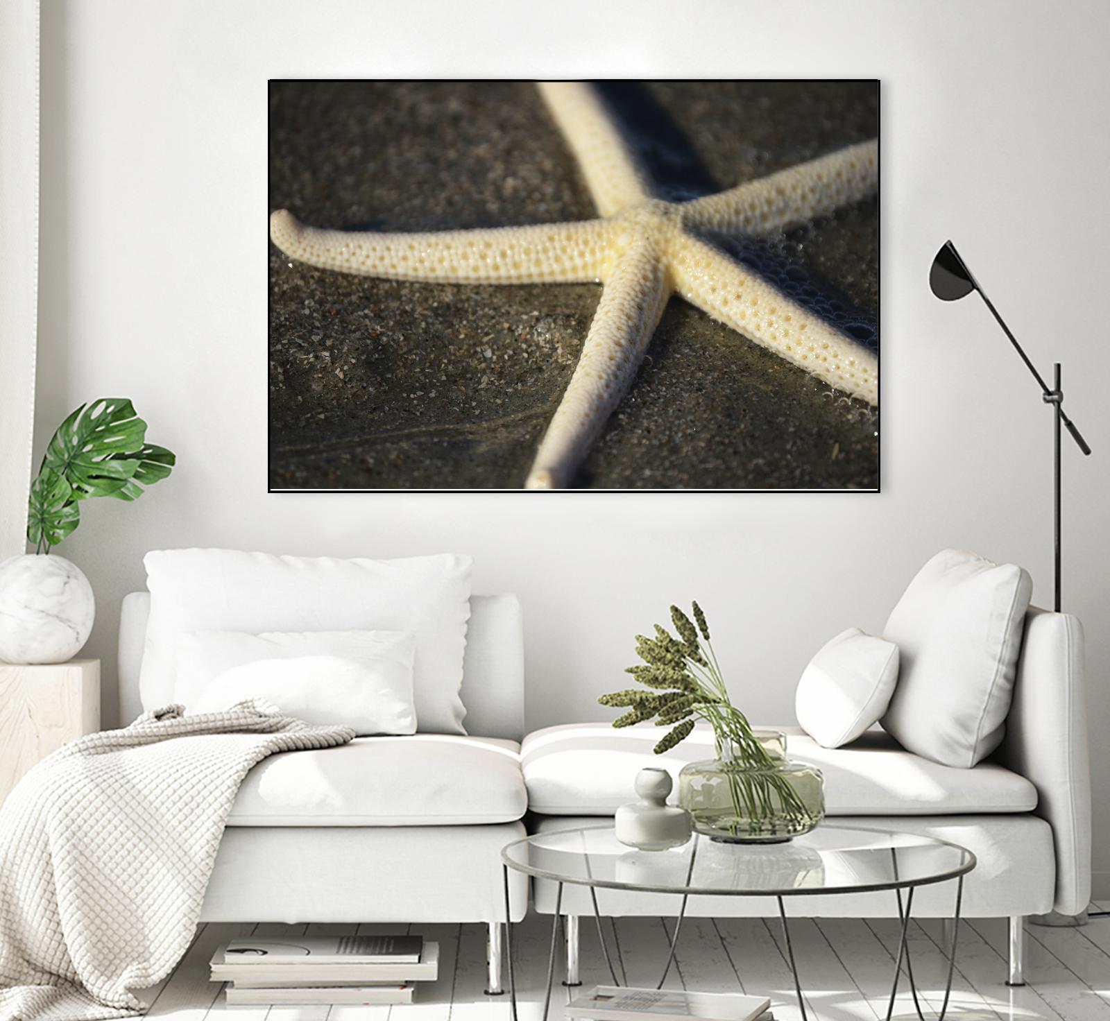 Starfish by Lori Prenner on GIANT ART - brown nautical