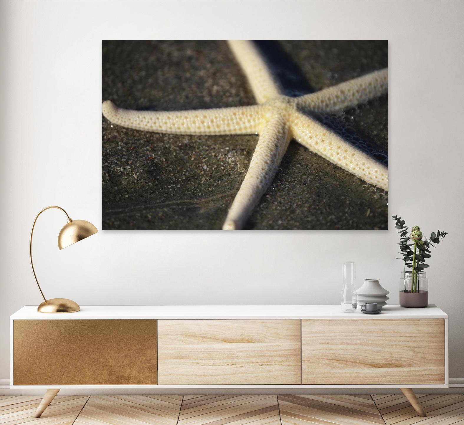 Starfish by Lori Prenner on GIANT ART - beige costal étoile de mer
