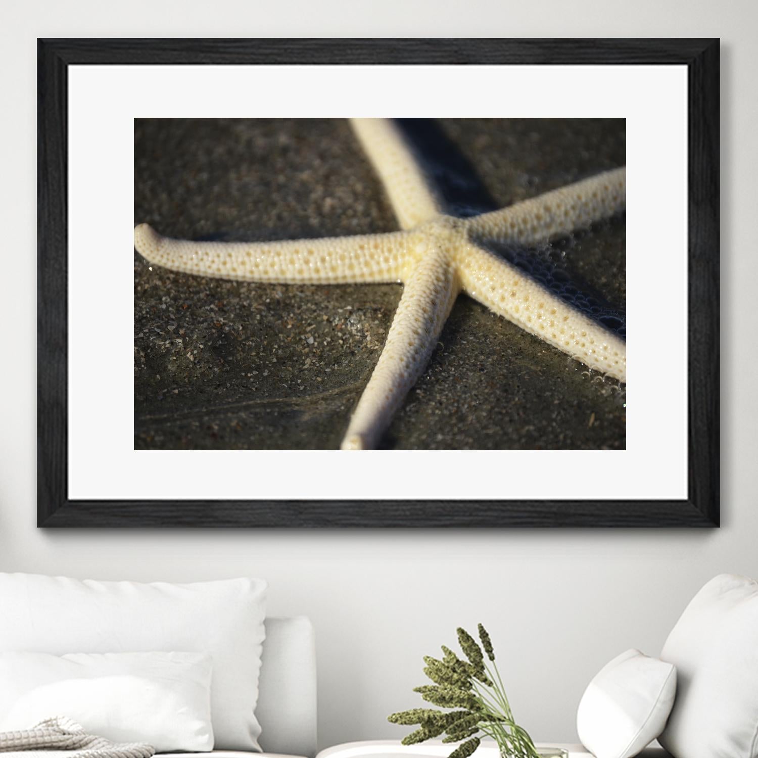 Starfish by Lori Prenner on GIANT ART - beige costal étoile de mer