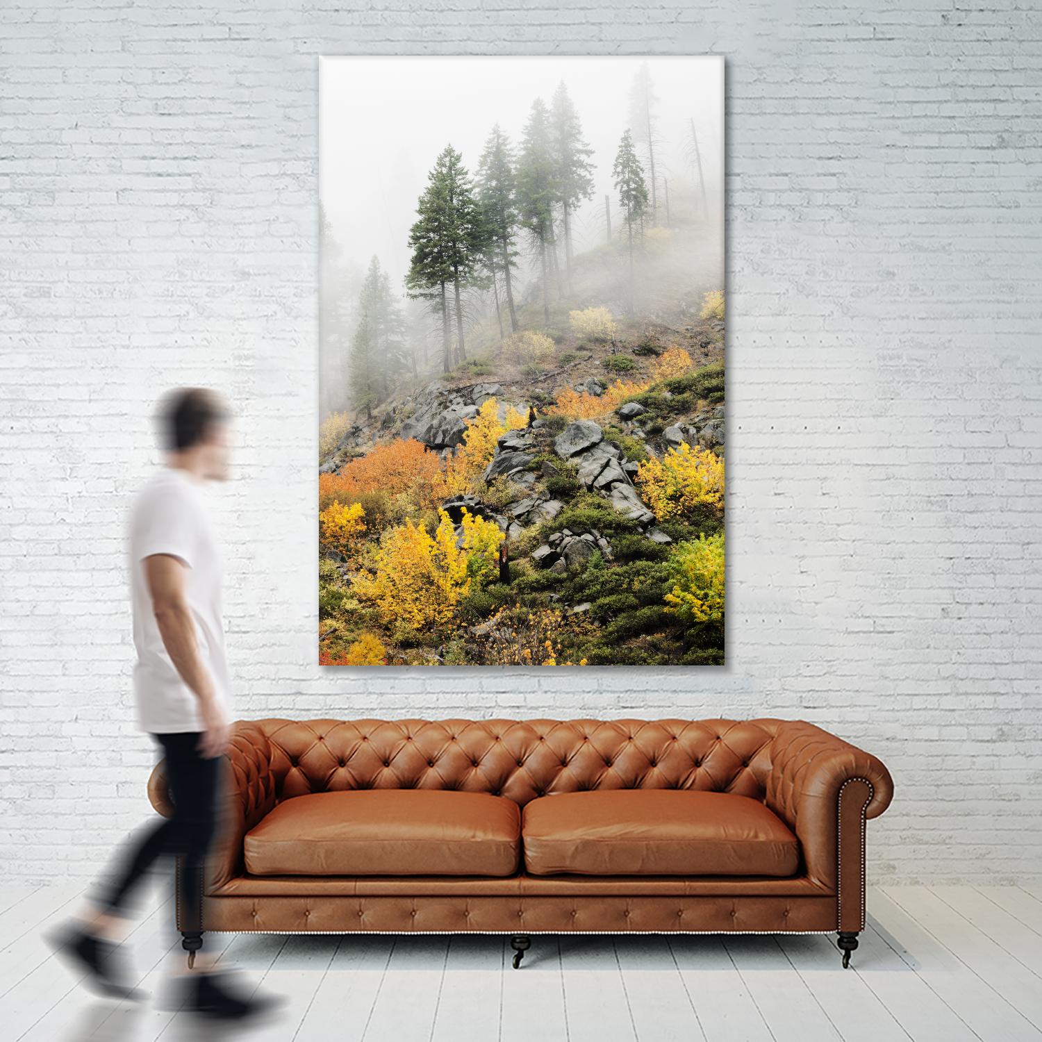 Photograph 8 by Aaron Matheson on GIANT ART - green landscape