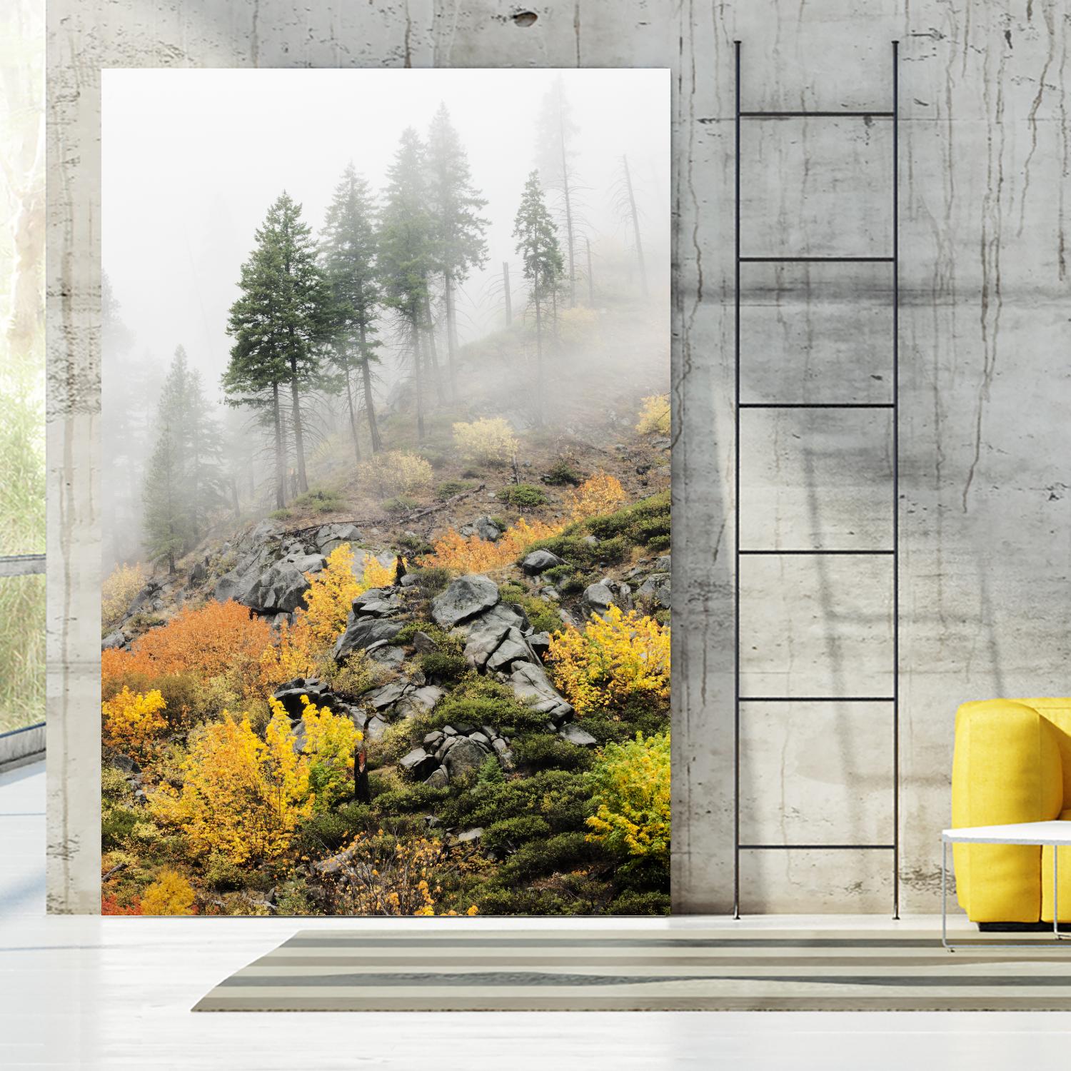 Photograph 8 by Aaron Matheson on GIANT ART - green landscape