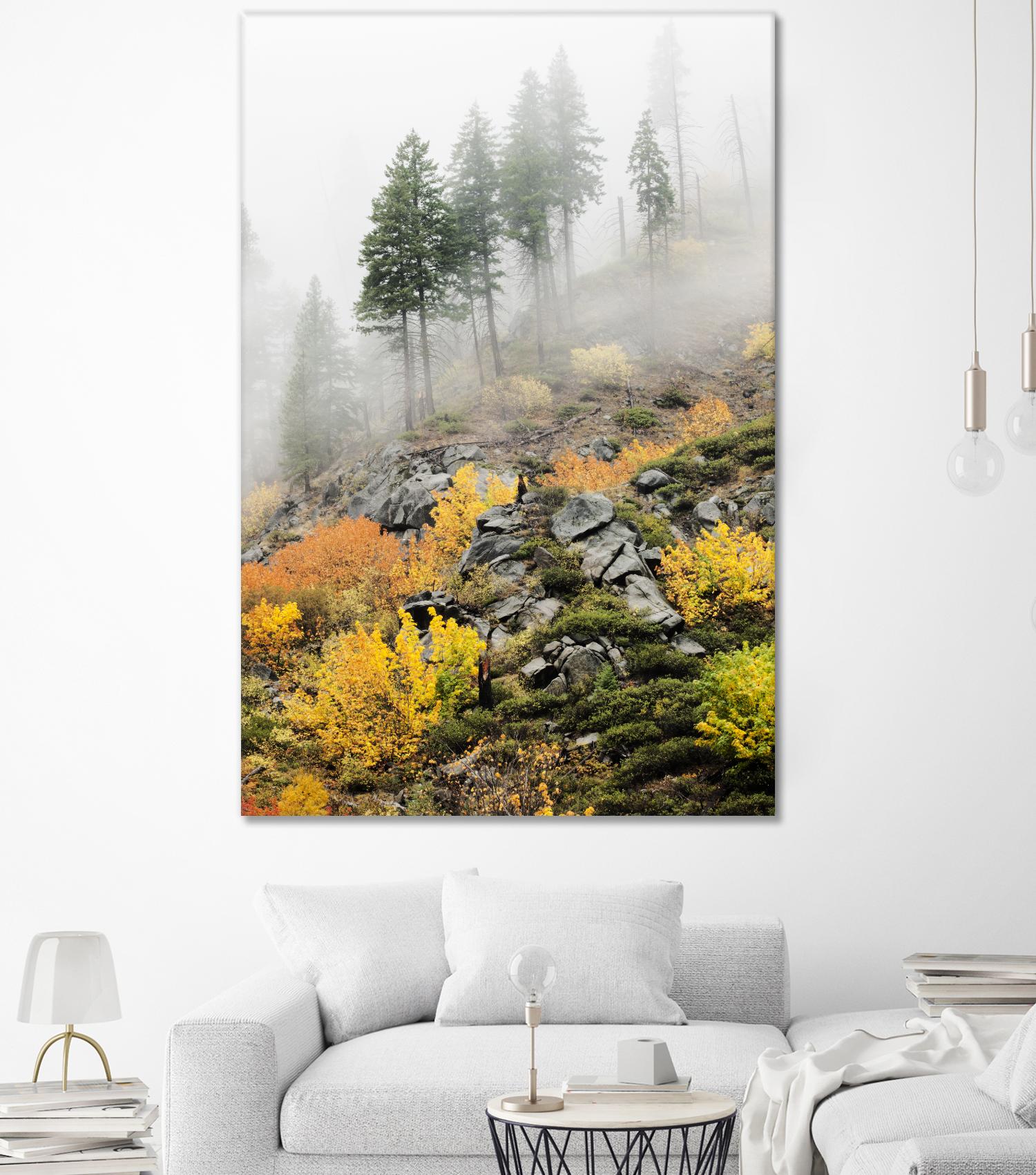 Photograph 8 by Aaron Matheson on GIANT ART - green landscape