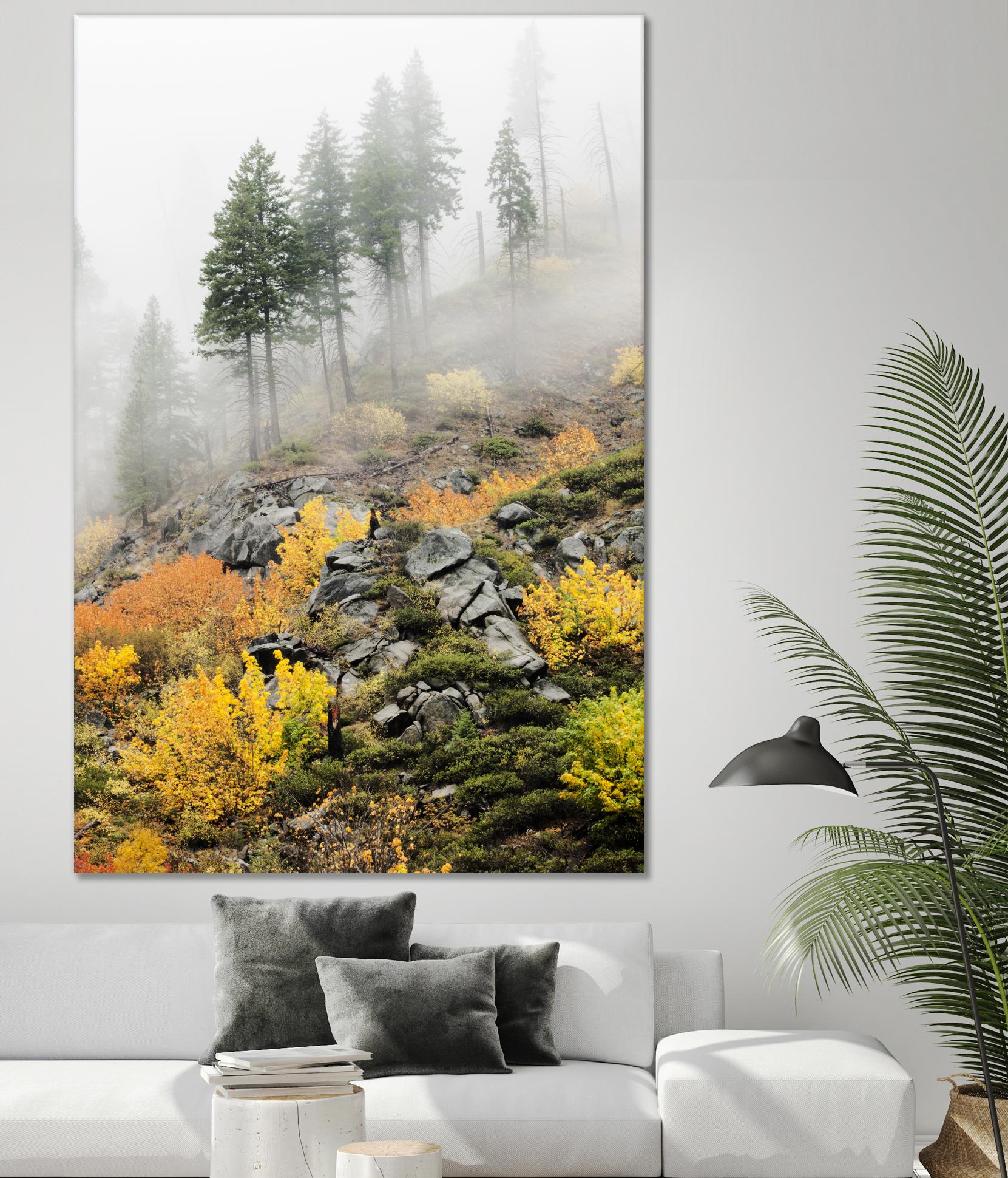 Photograph 8 by Aaron Matheson on GIANT ART - green landscape