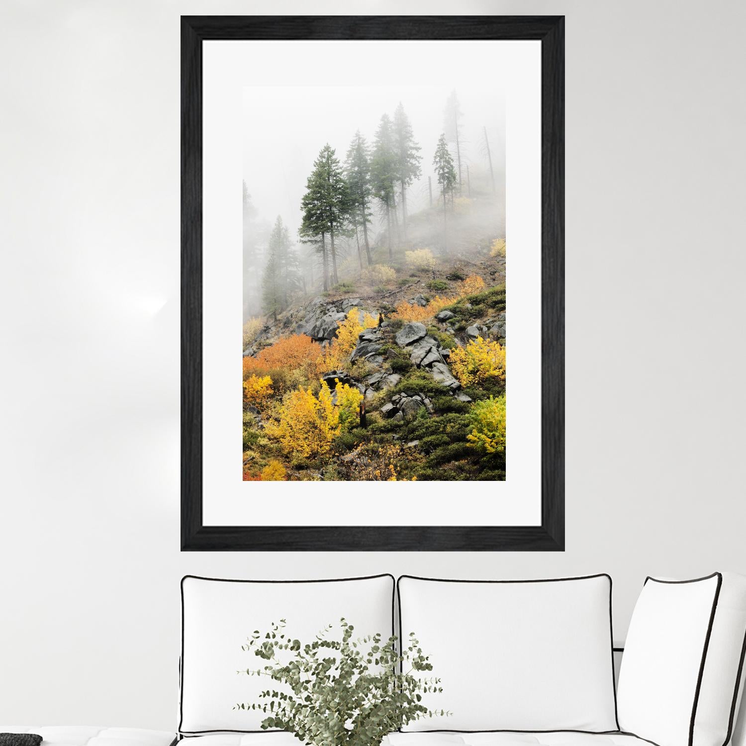 Photograph 8 by Aaron Matheson on GIANT ART - green landscape