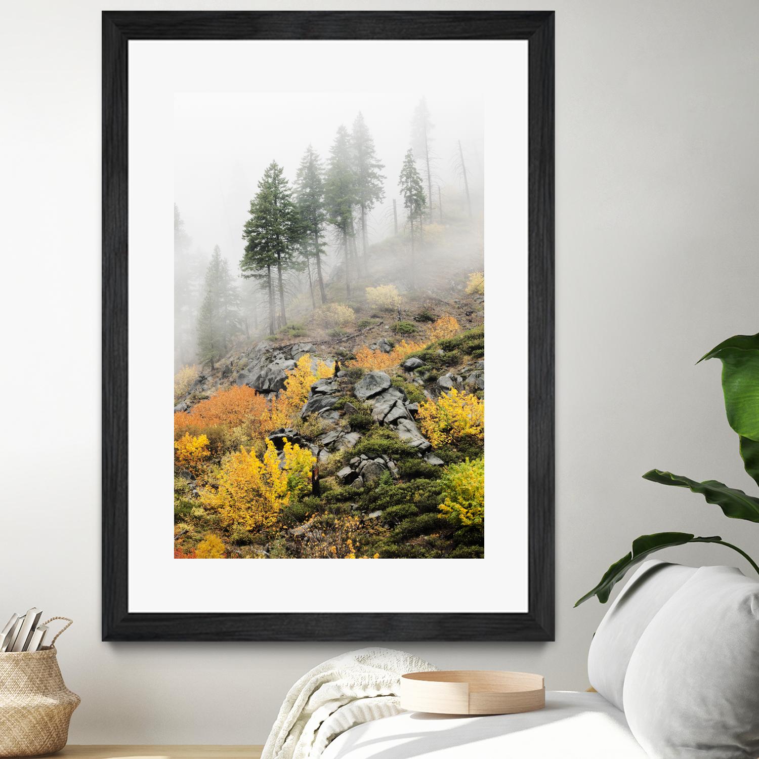 Photograph 8 by Aaron Matheson on GIANT ART - green landscape