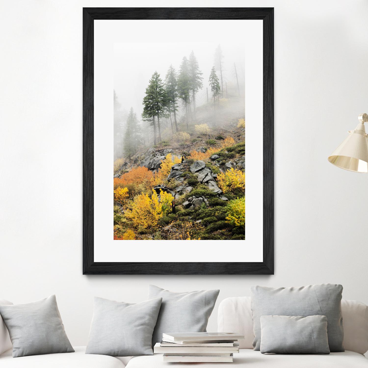 Photograph 8 by Aaron Matheson on GIANT ART - green landscape