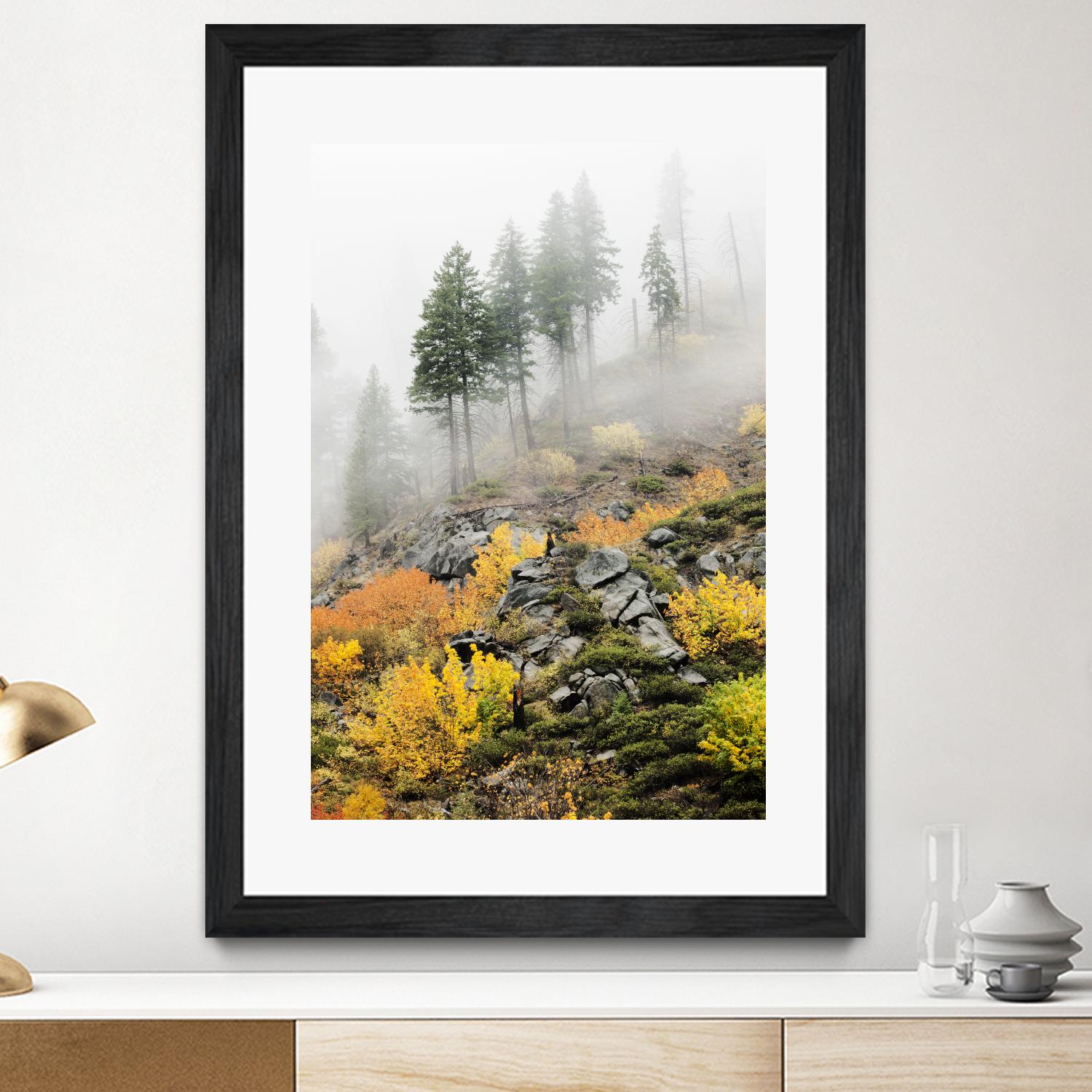 Photograph 8 by Aaron Matheson on GIANT ART - green landscape