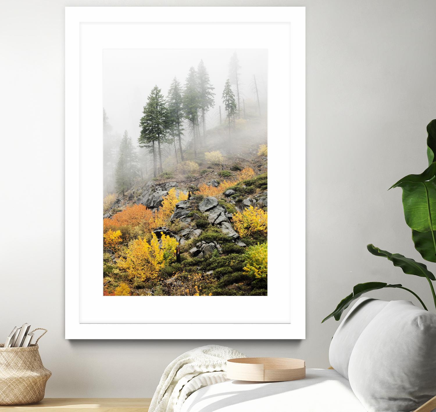 Photograph 8 by Aaron Matheson on GIANT ART - green landscape