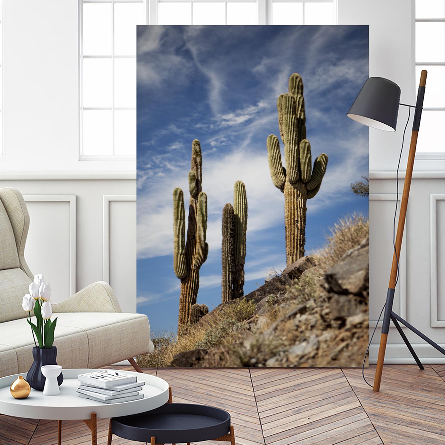 Photograph 9 by Aaron Matheson on GIANT ART - green landscape