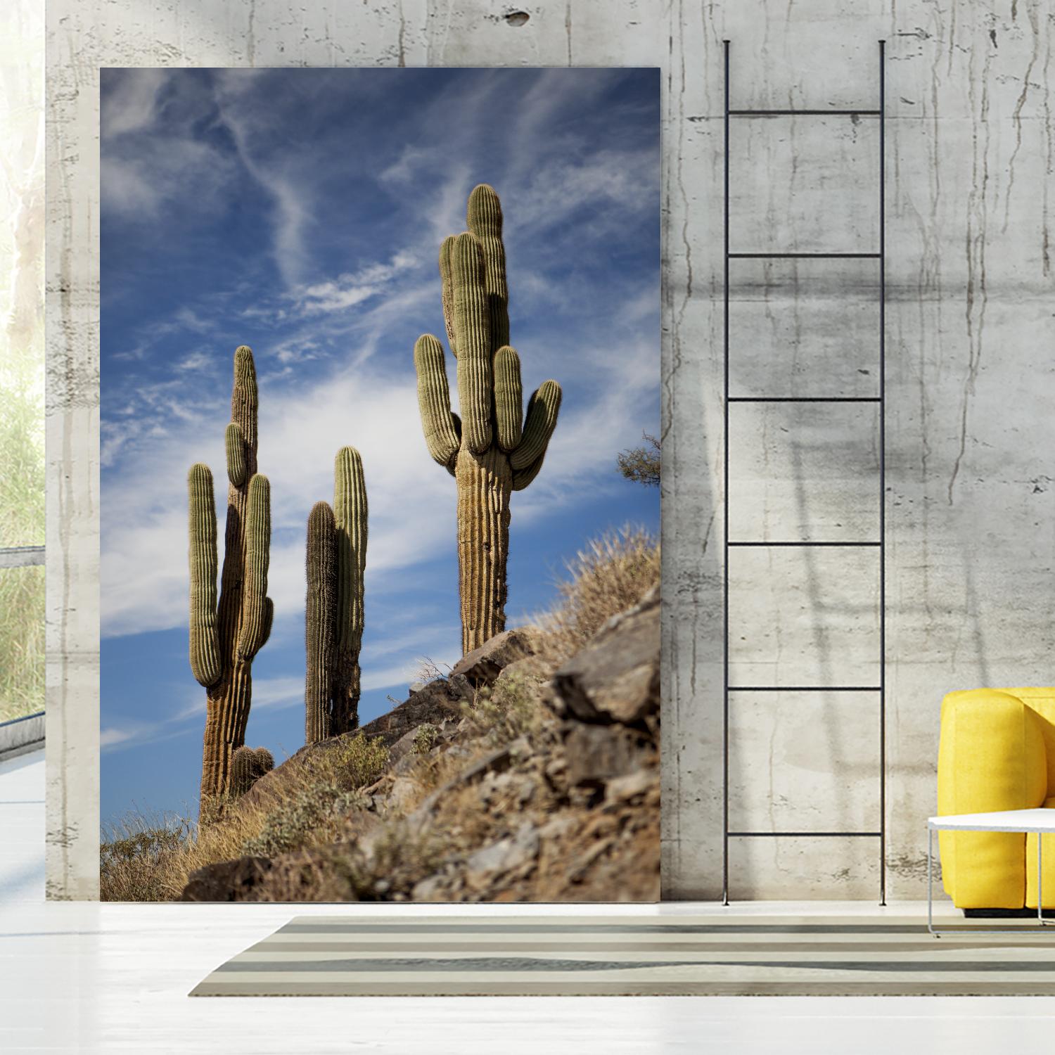 Photograph 9 by Aaron Matheson on GIANT ART - green landscape