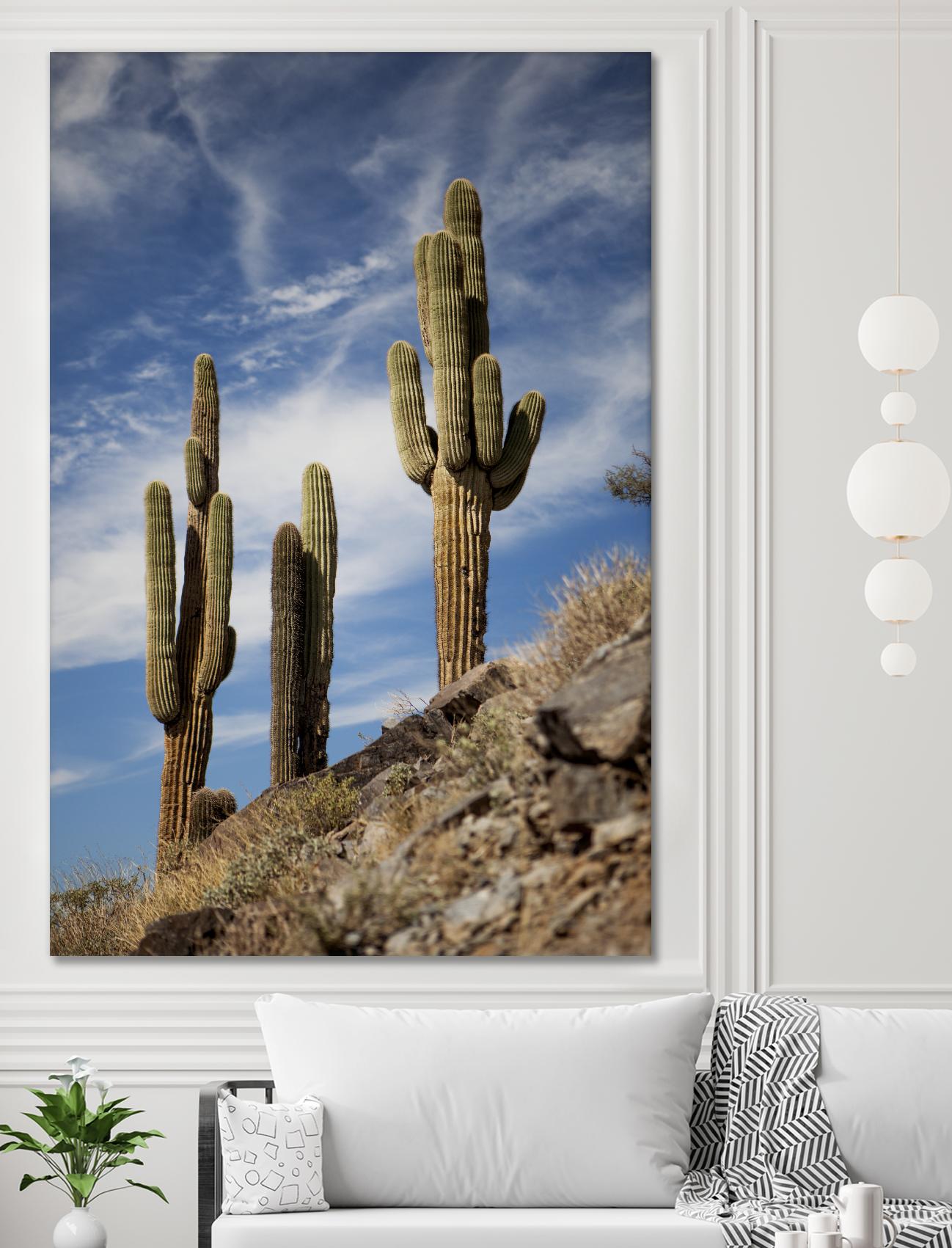 Photograph 9 by Aaron Matheson on GIANT ART - green landscape