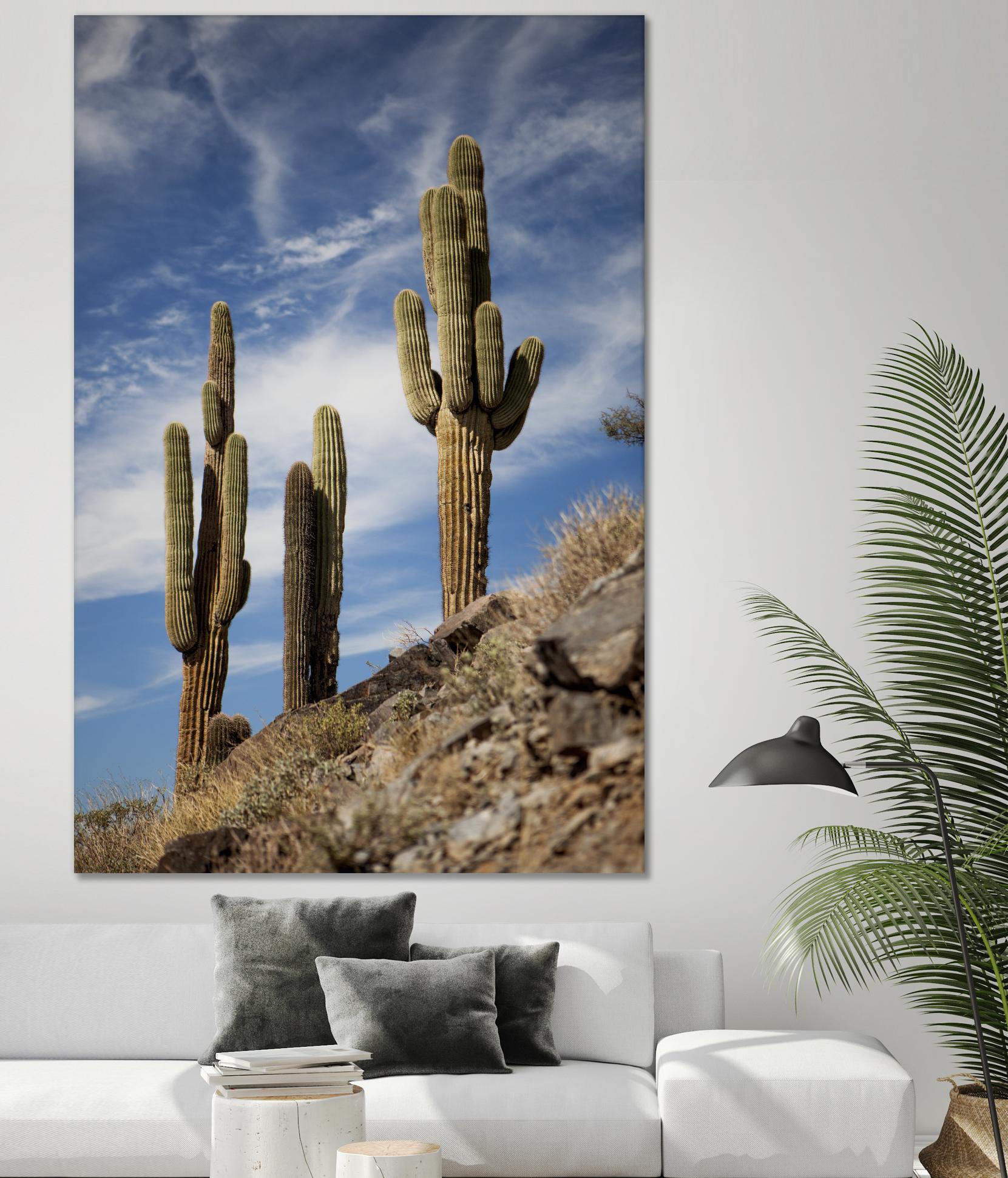 Photograph 9 by Aaron Matheson on GIANT ART - green landscape