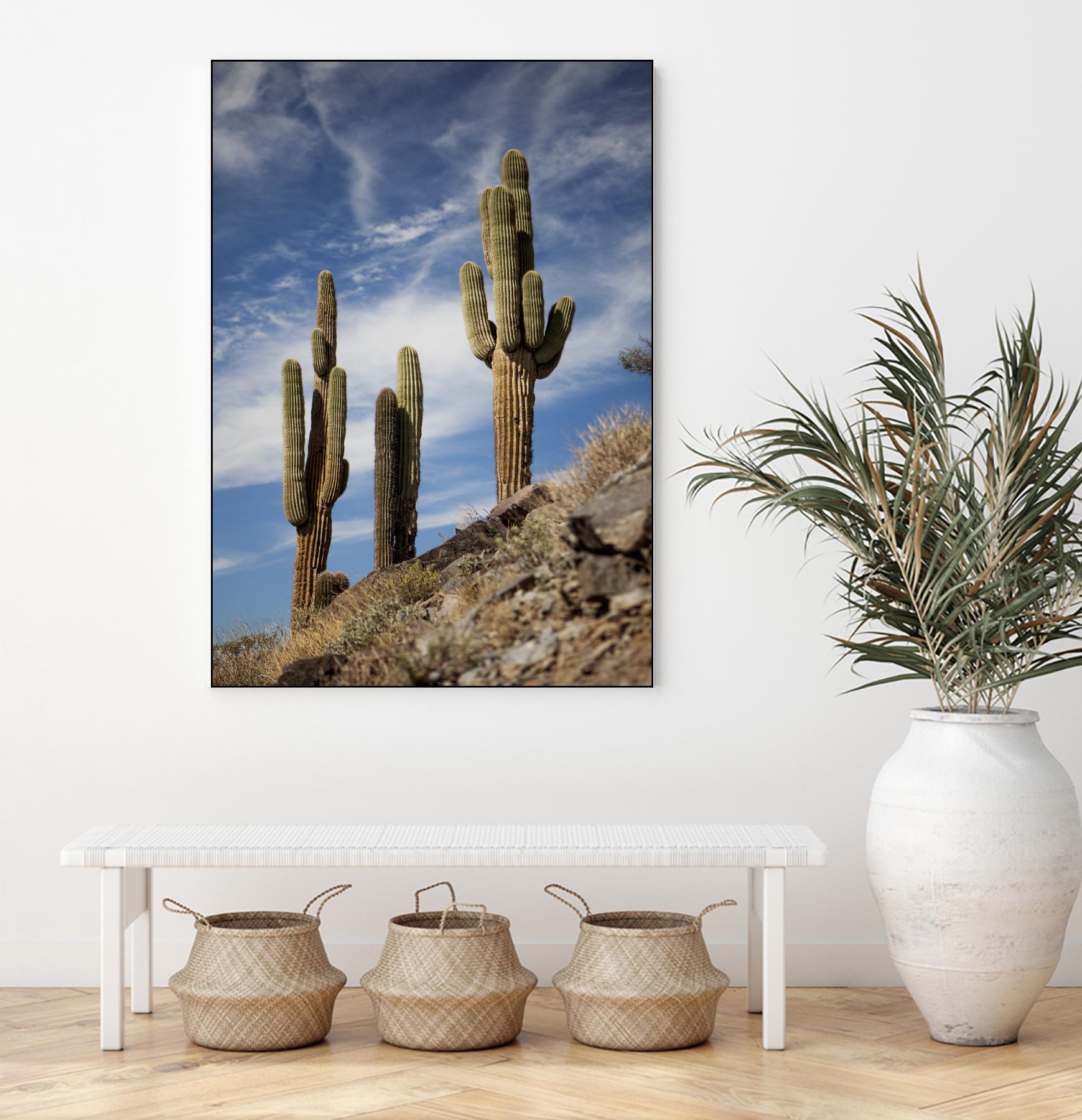 Photograph 9 by Aaron Matheson on GIANT ART - green landscape