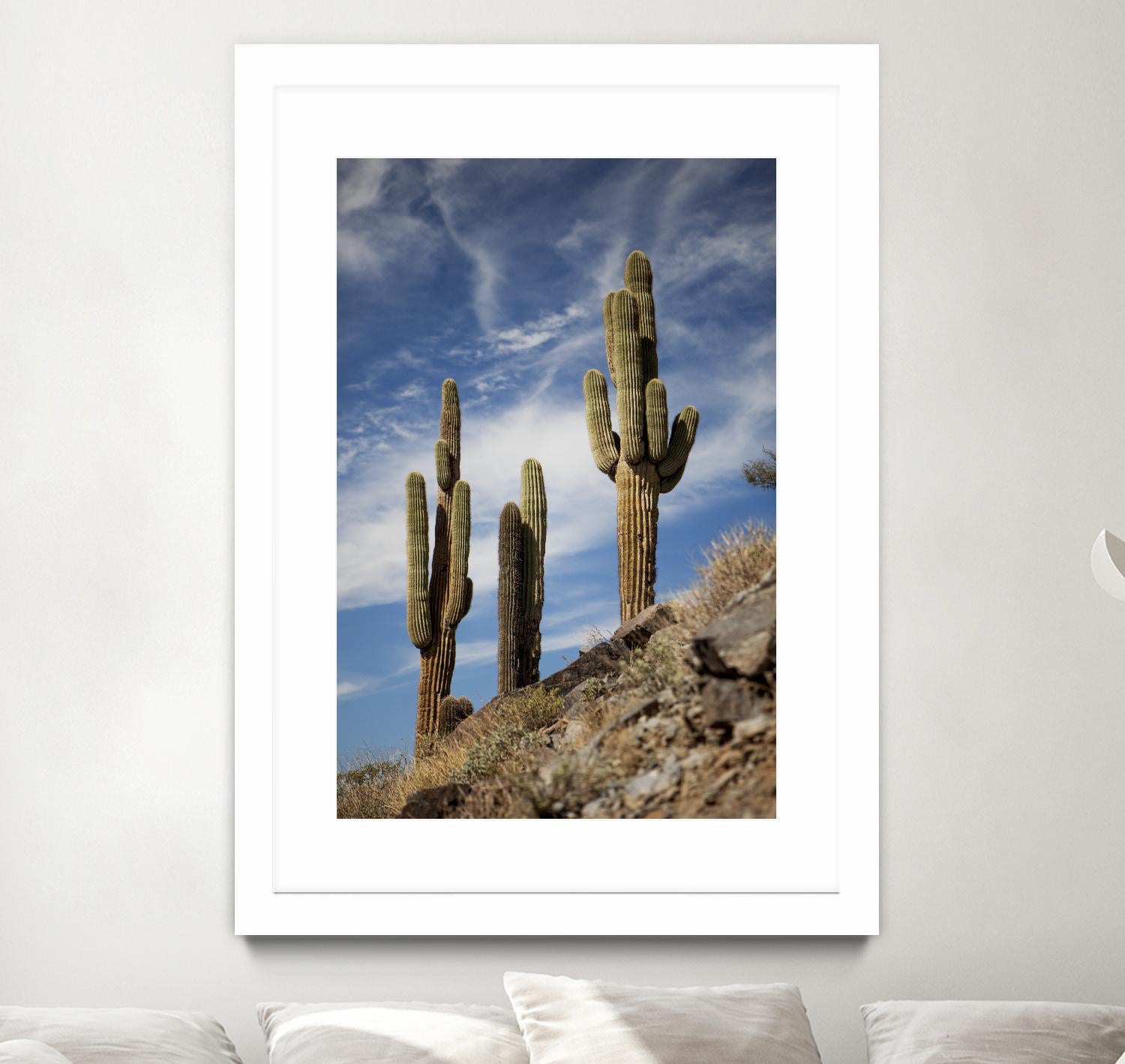 Photograph 9 by Aaron Matheson on GIANT ART - green landscape