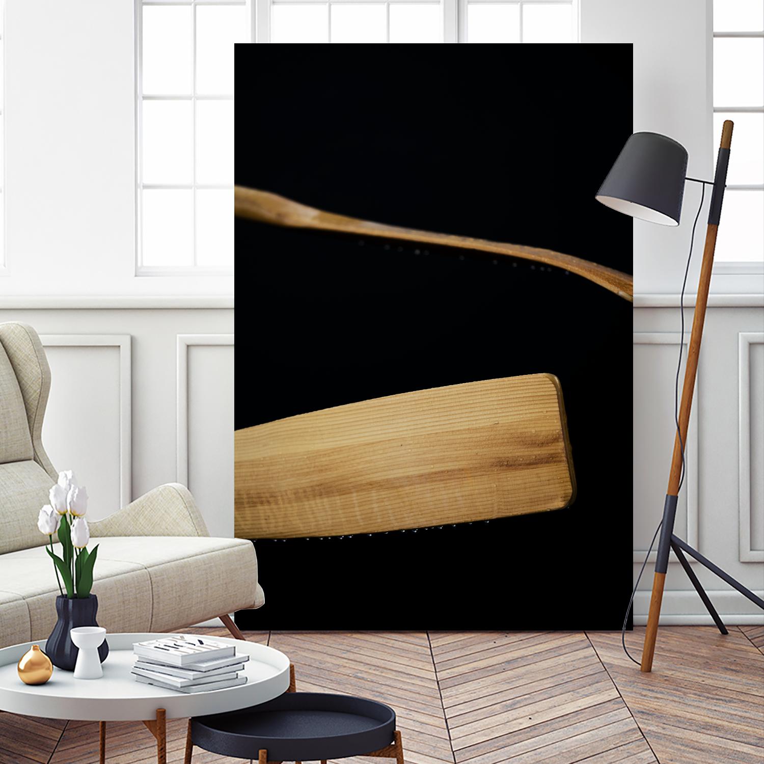Paddles III by Melissa McClain on GIANT ART - beige photo art