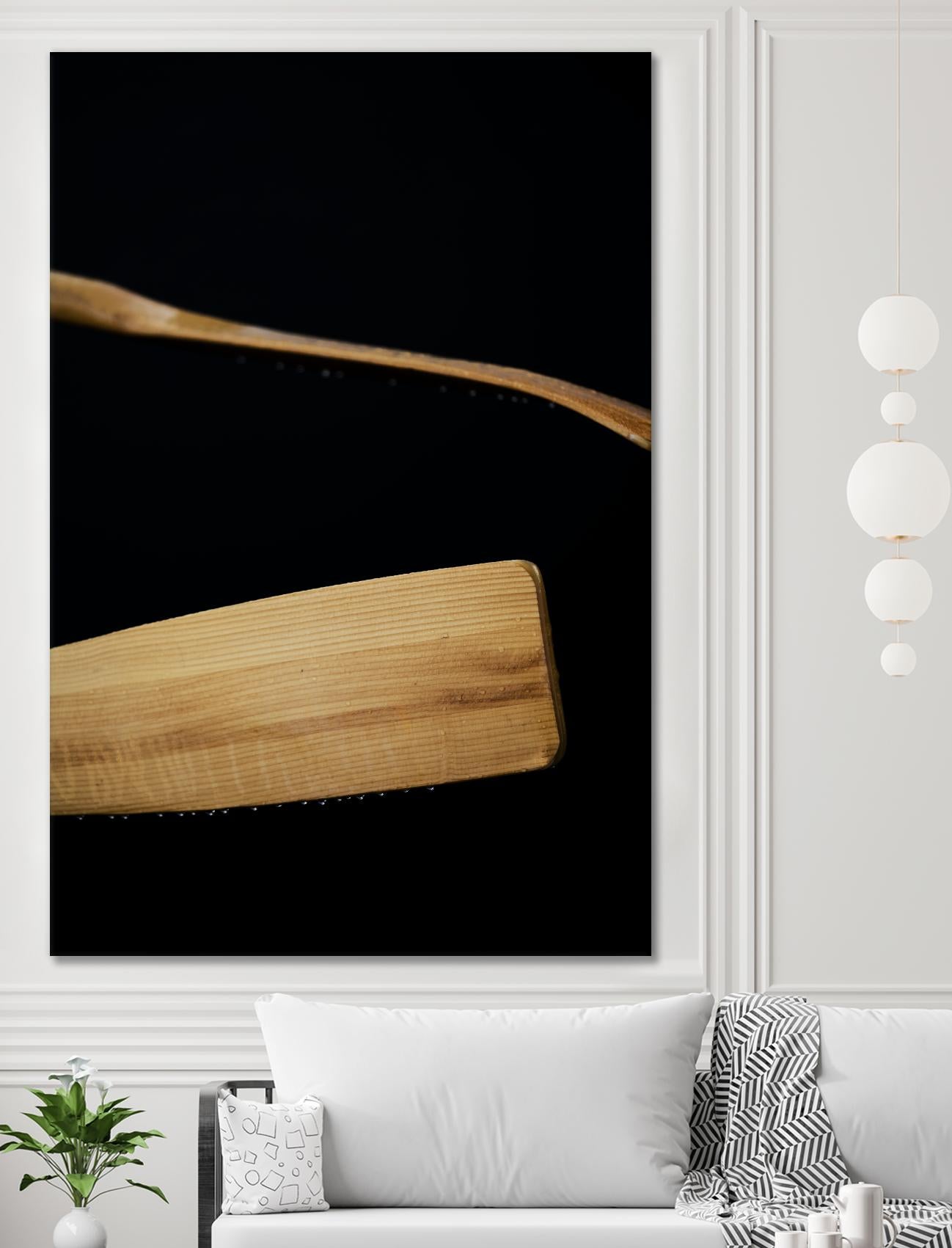 Paddles III by Melissa McClain on GIANT ART - beige photo art
