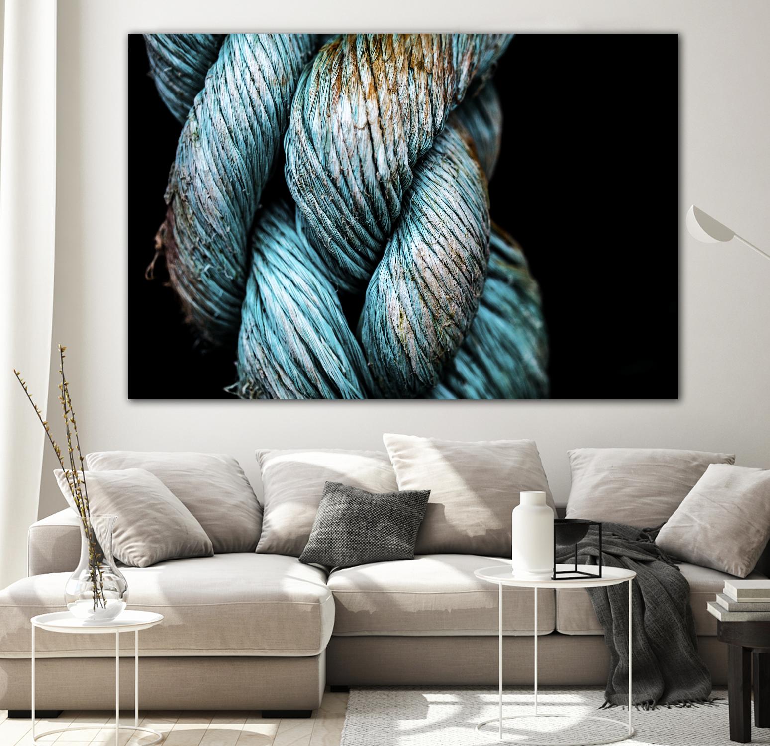 Ties that Bind by Melissa McClain on GIANT ART - black photo art