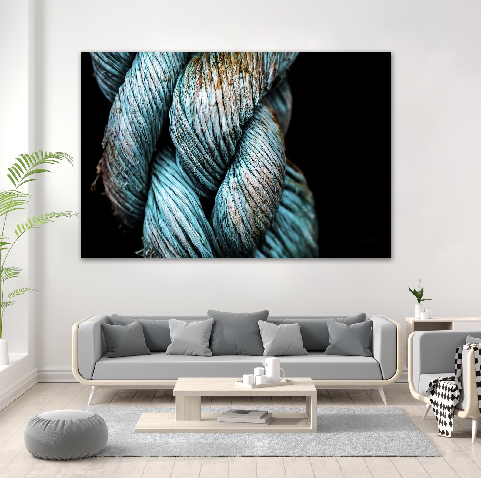 Ties that Bind by Melissa McClain on GIANT ART - black photo art